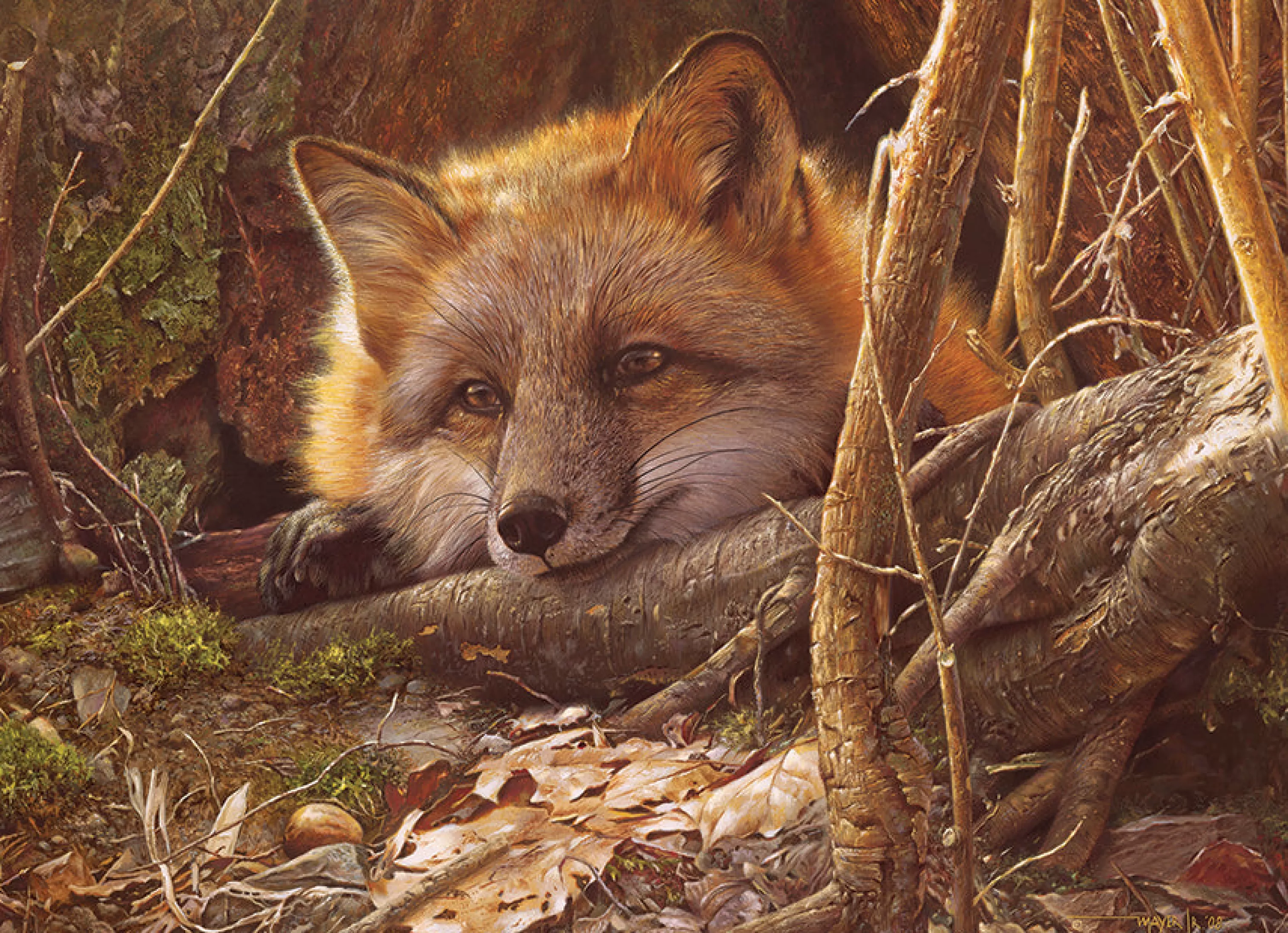 Wildlife^Cobble Hill Puzzles A Touch Of Warmth | 500 Piece