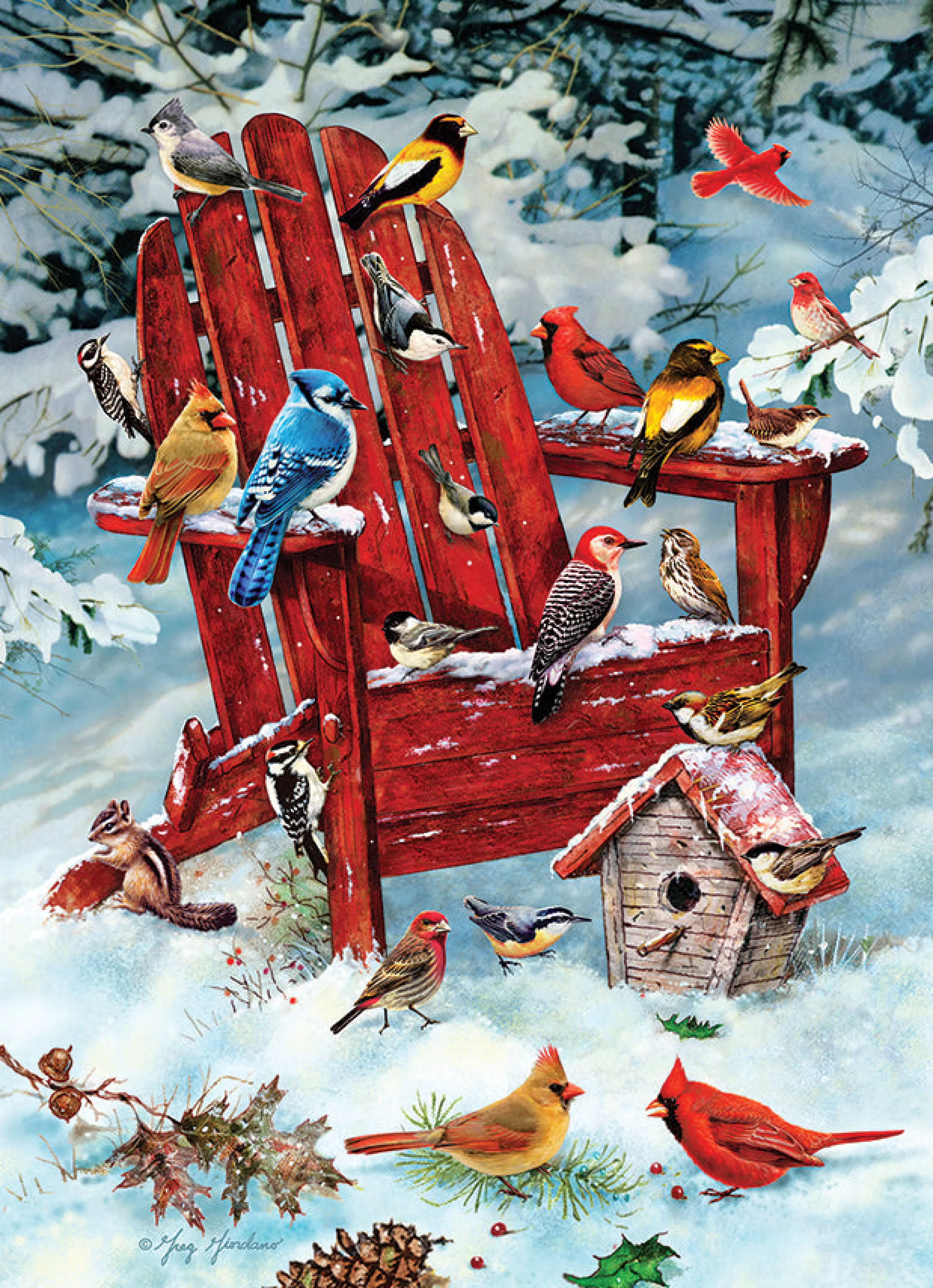 Wildlife^Cobble Hill Puzzles Adirondack Birds | 1000 Piece