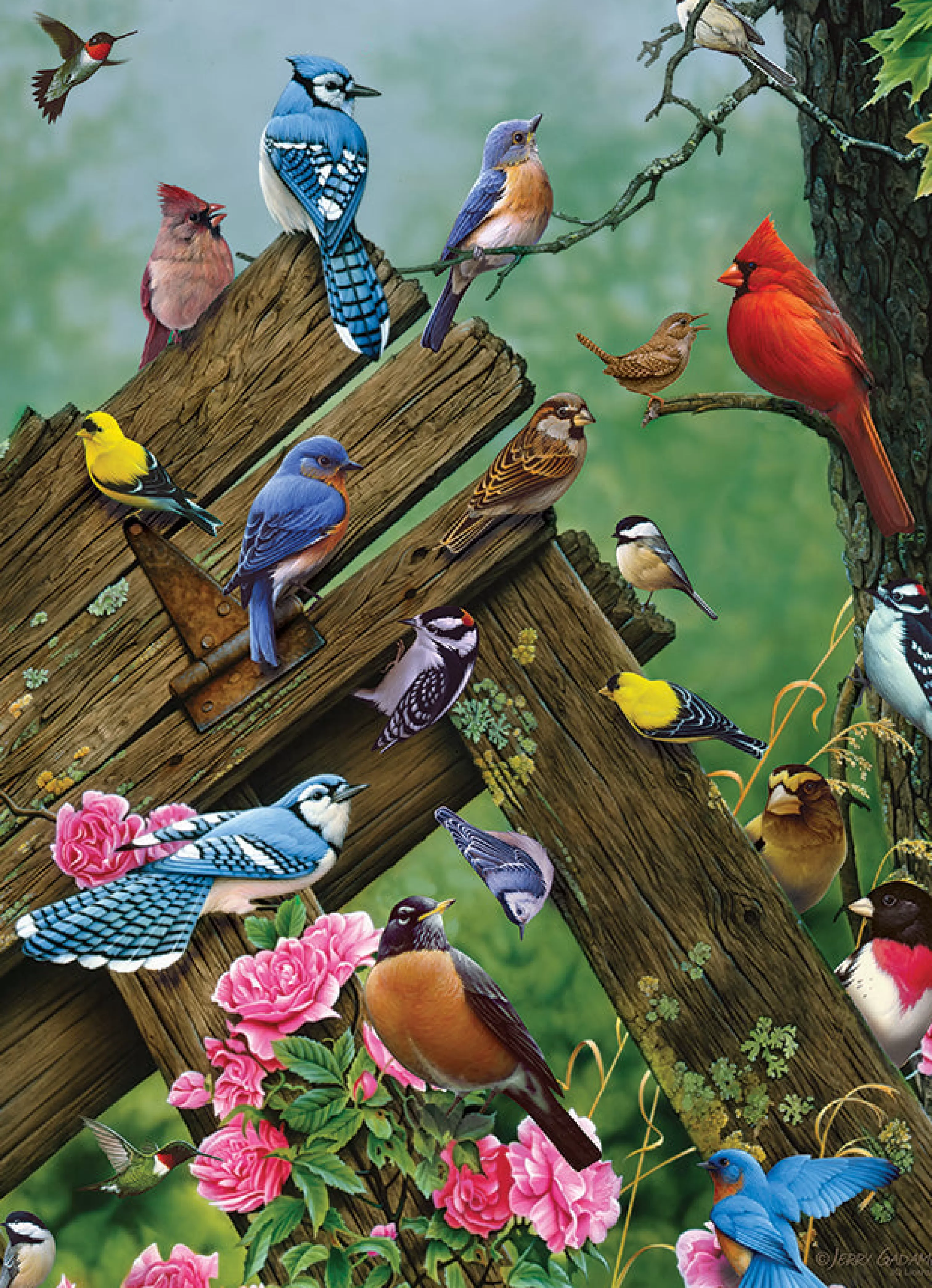 Flowers | Gardens^Cobble Hill Puzzles Birds Of The Forest | 1000 Piece