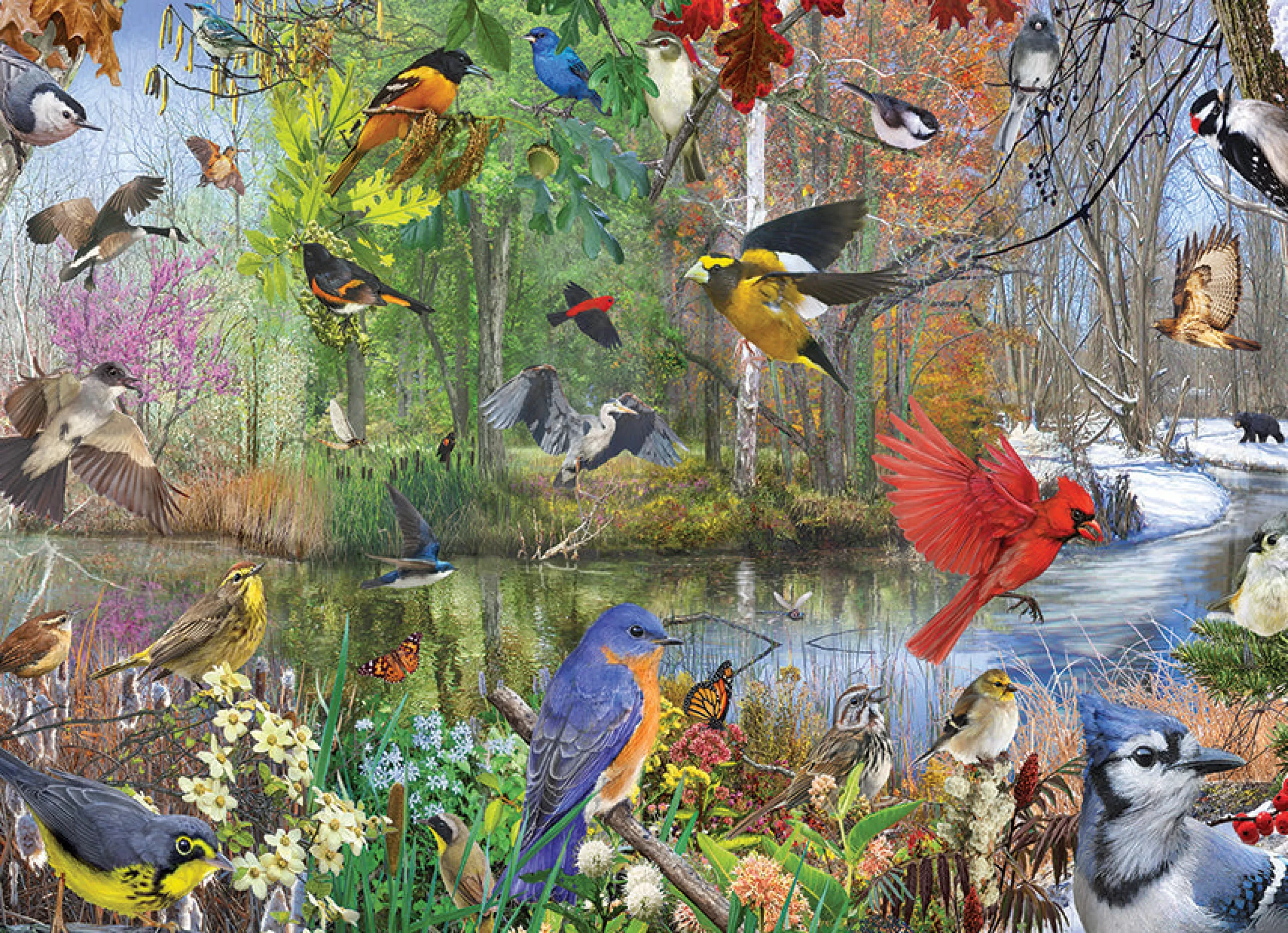 Wildlife^Cobble Hill Puzzles Birds Of The Season | 1000 Piece