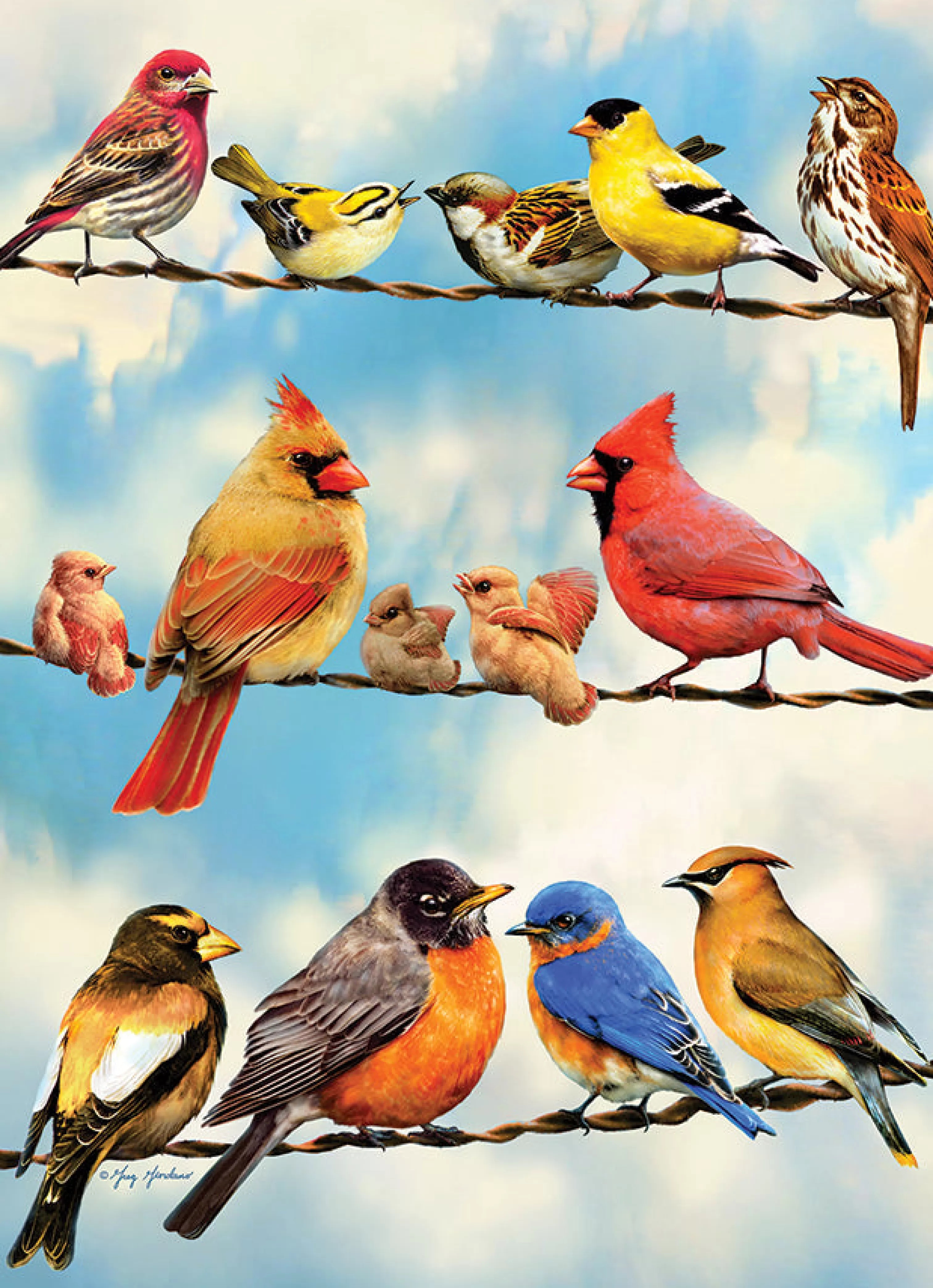 Birds^Cobble Hill Puzzles Birds On A Wire | 500 Piece