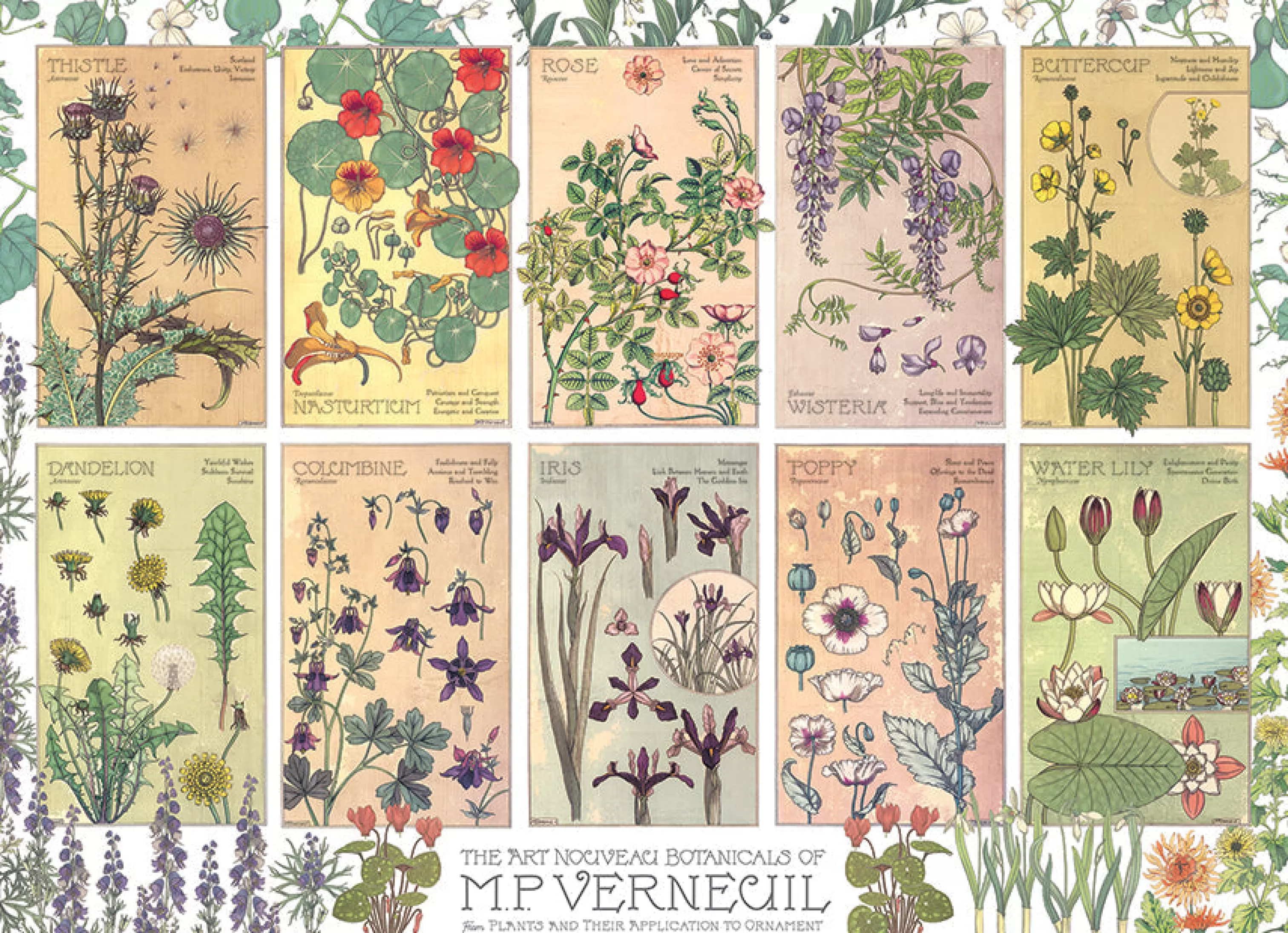 Infographic^Cobble Hill Puzzles Botanicals By Verneuil | 1000 Piece