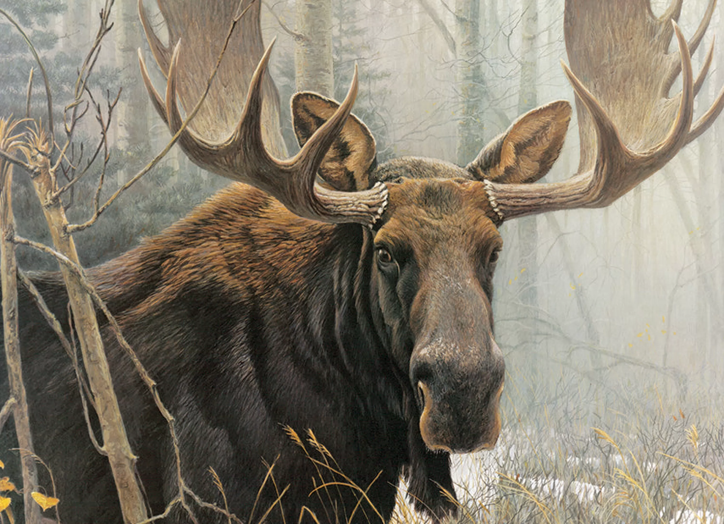 Mountainscape^Cobble Hill Puzzles Bull Moose | 500 Piece