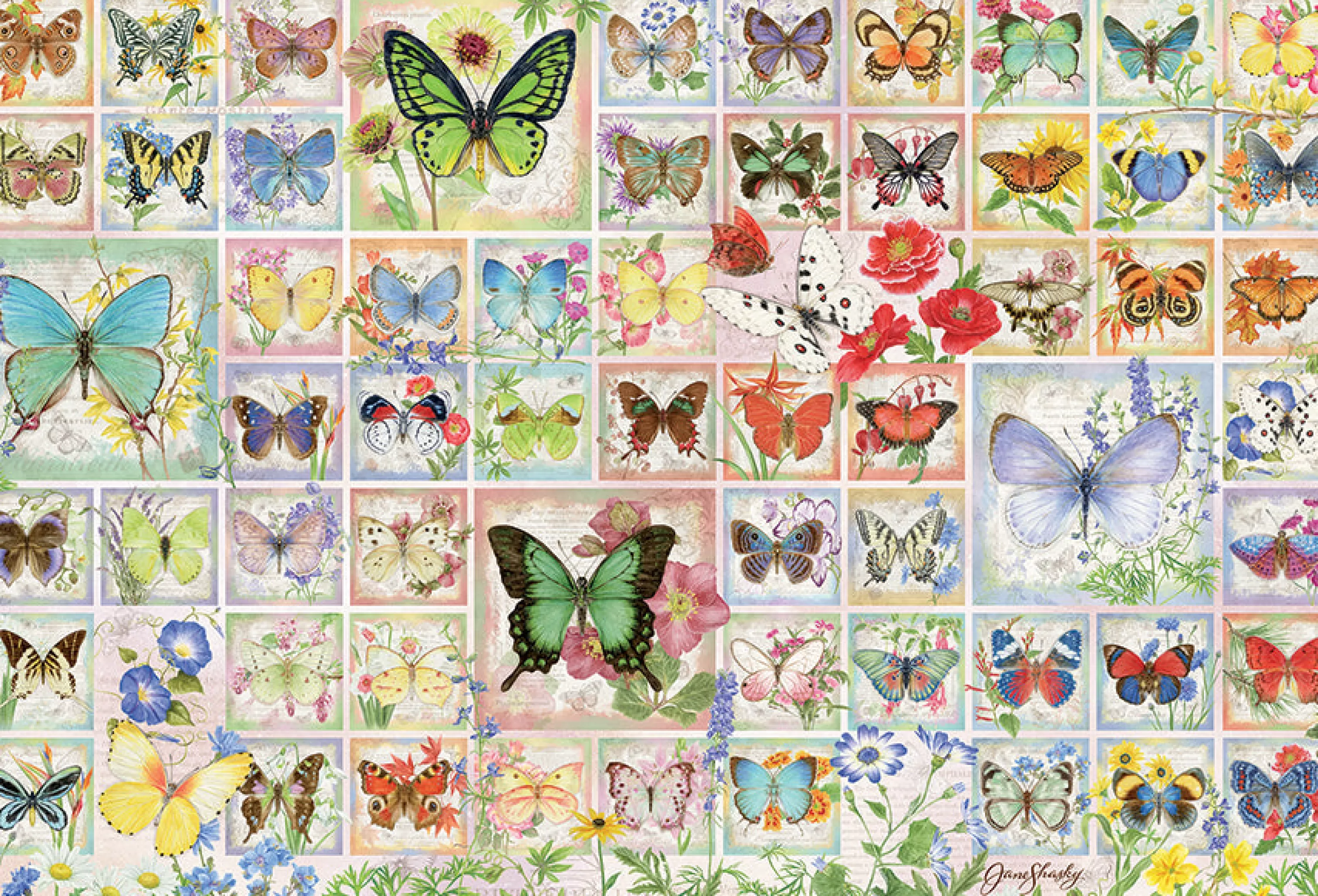 Flowers | Gardens^Cobble Hill Puzzles Butterflies And Blossoms | 2000 Piece