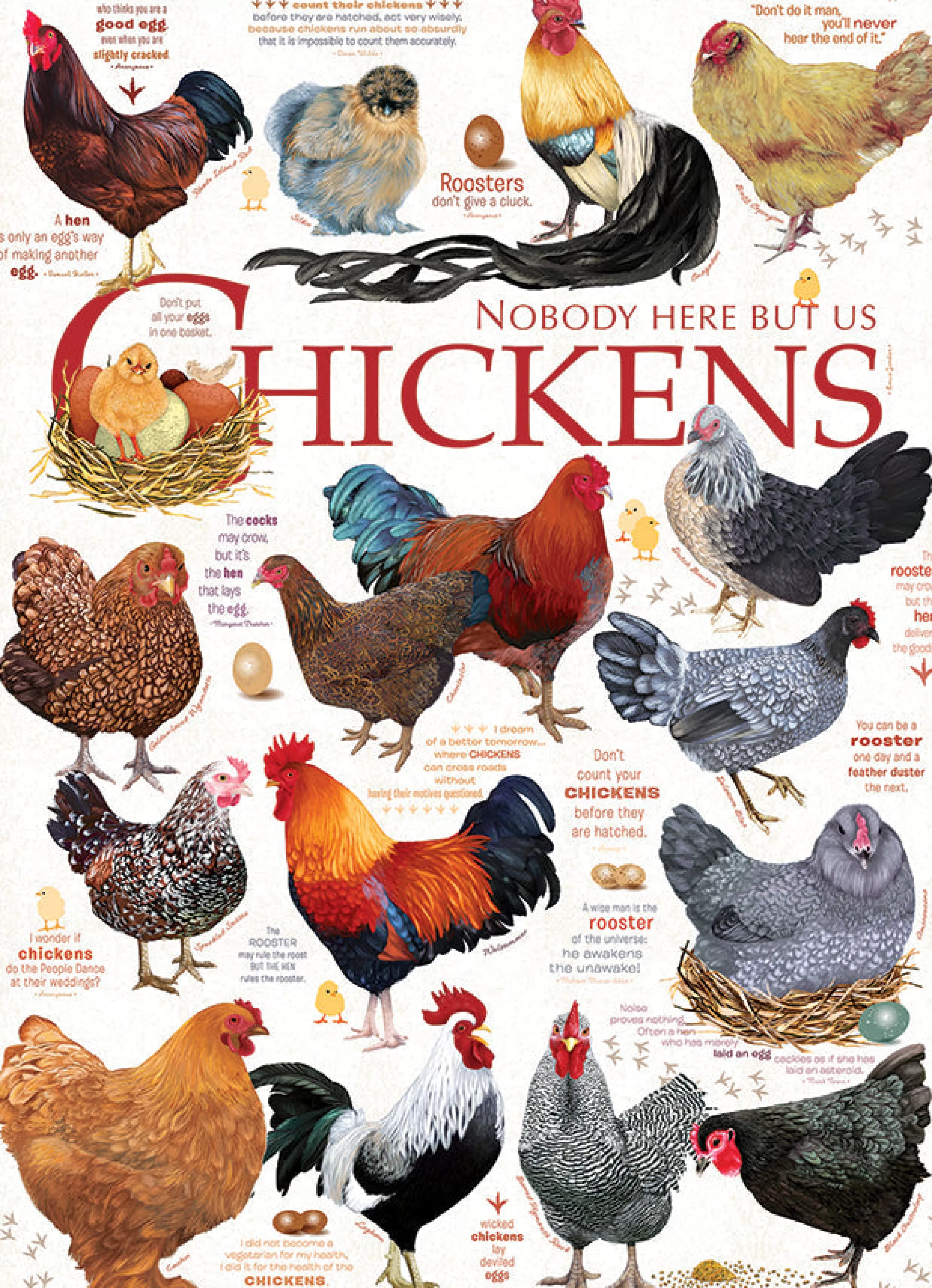 Farm^Cobble Hill Puzzles Chicken Quotes | 1000 Piece