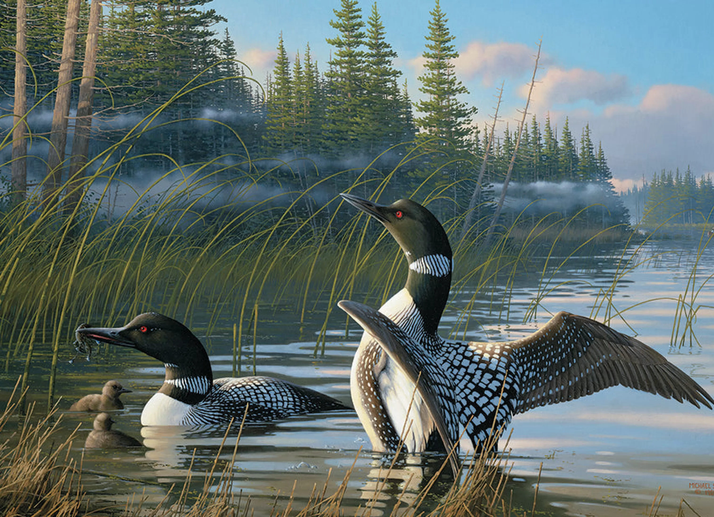 Birds^Cobble Hill Puzzles Common Loons | 1000 Piece