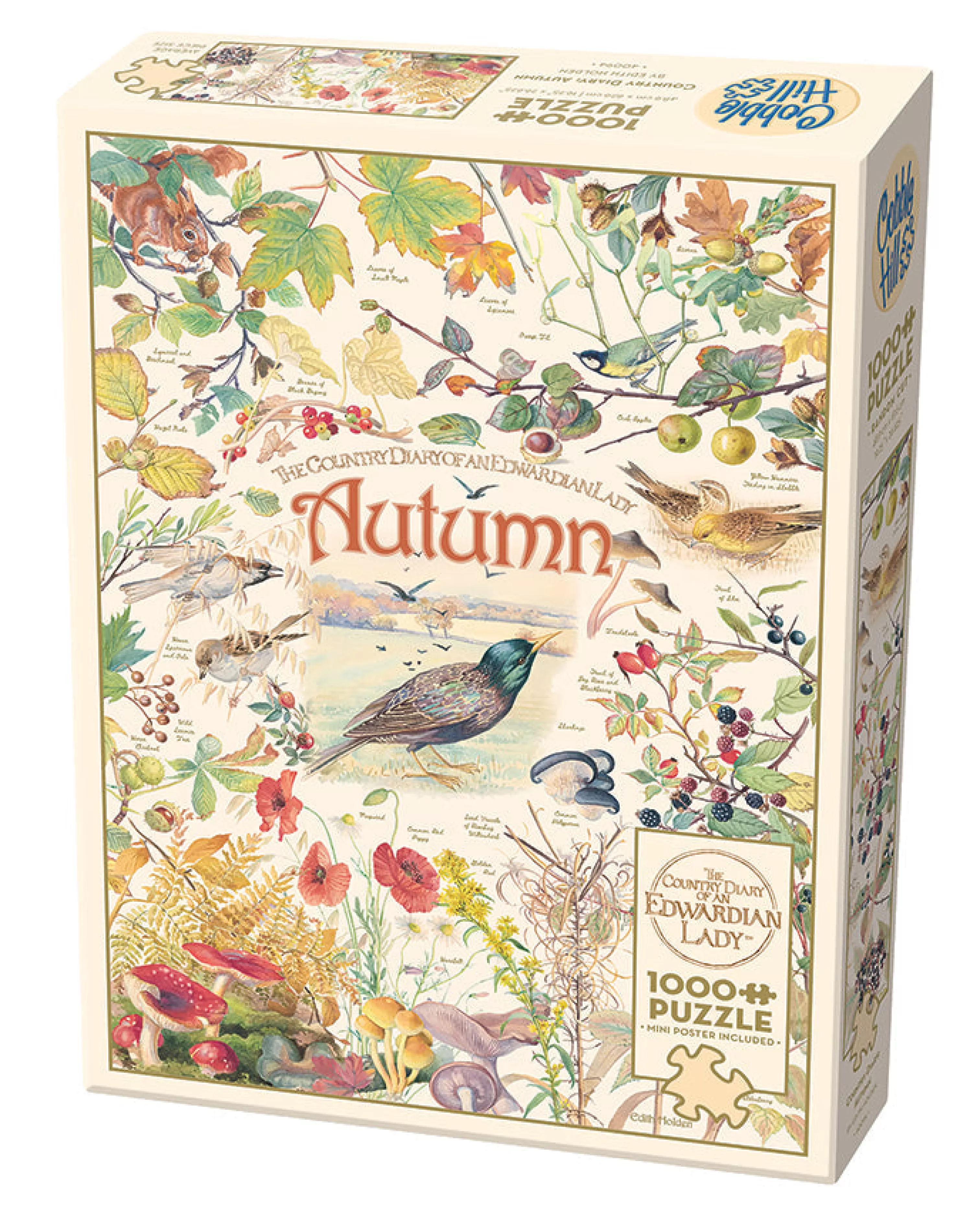 Birds^Cobble Hill Puzzles Country Diary: Autumn | 1000 Piece