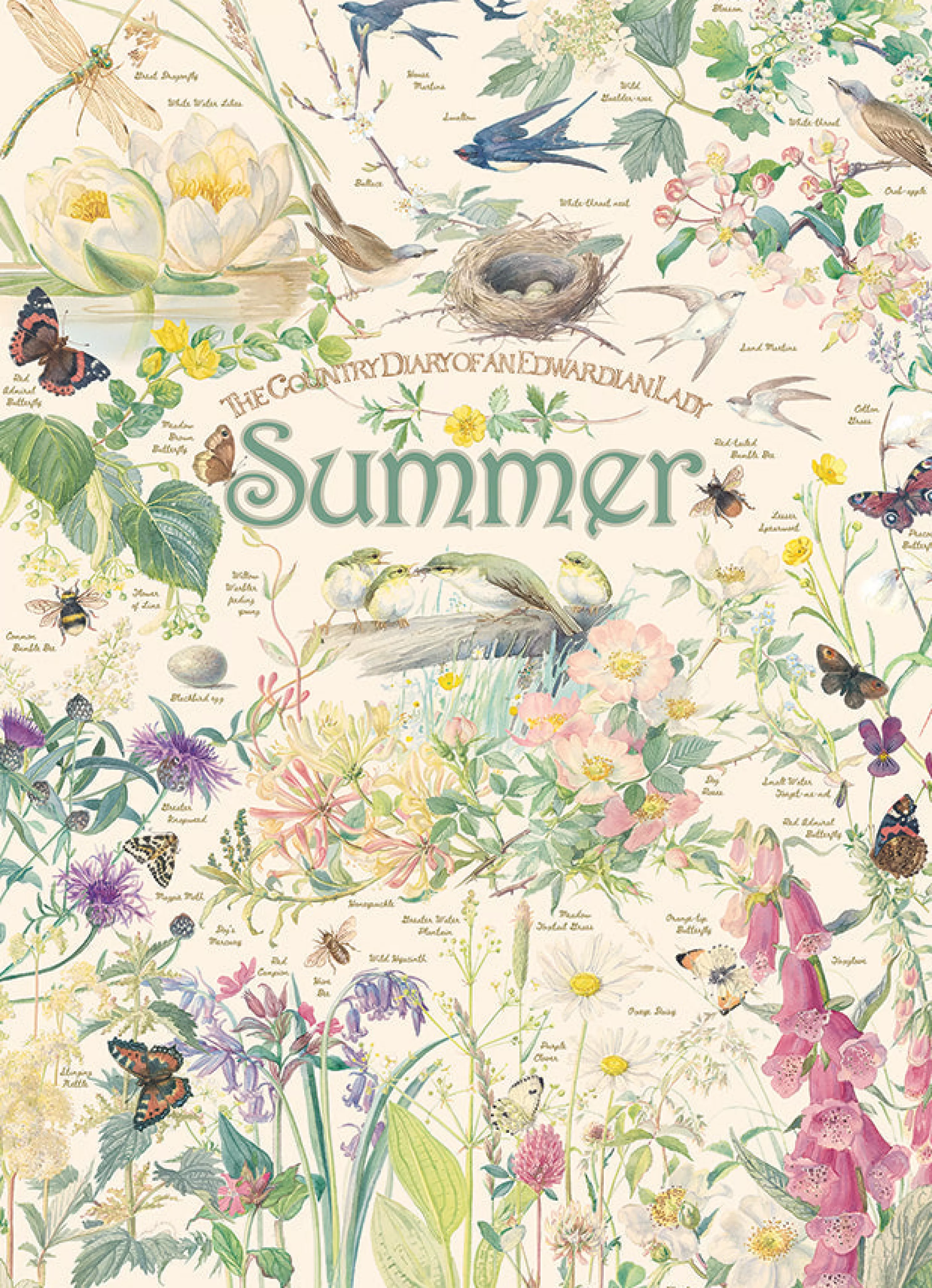 Birds^Cobble Hill Puzzles Country Diary: Summer | 1000 Piece