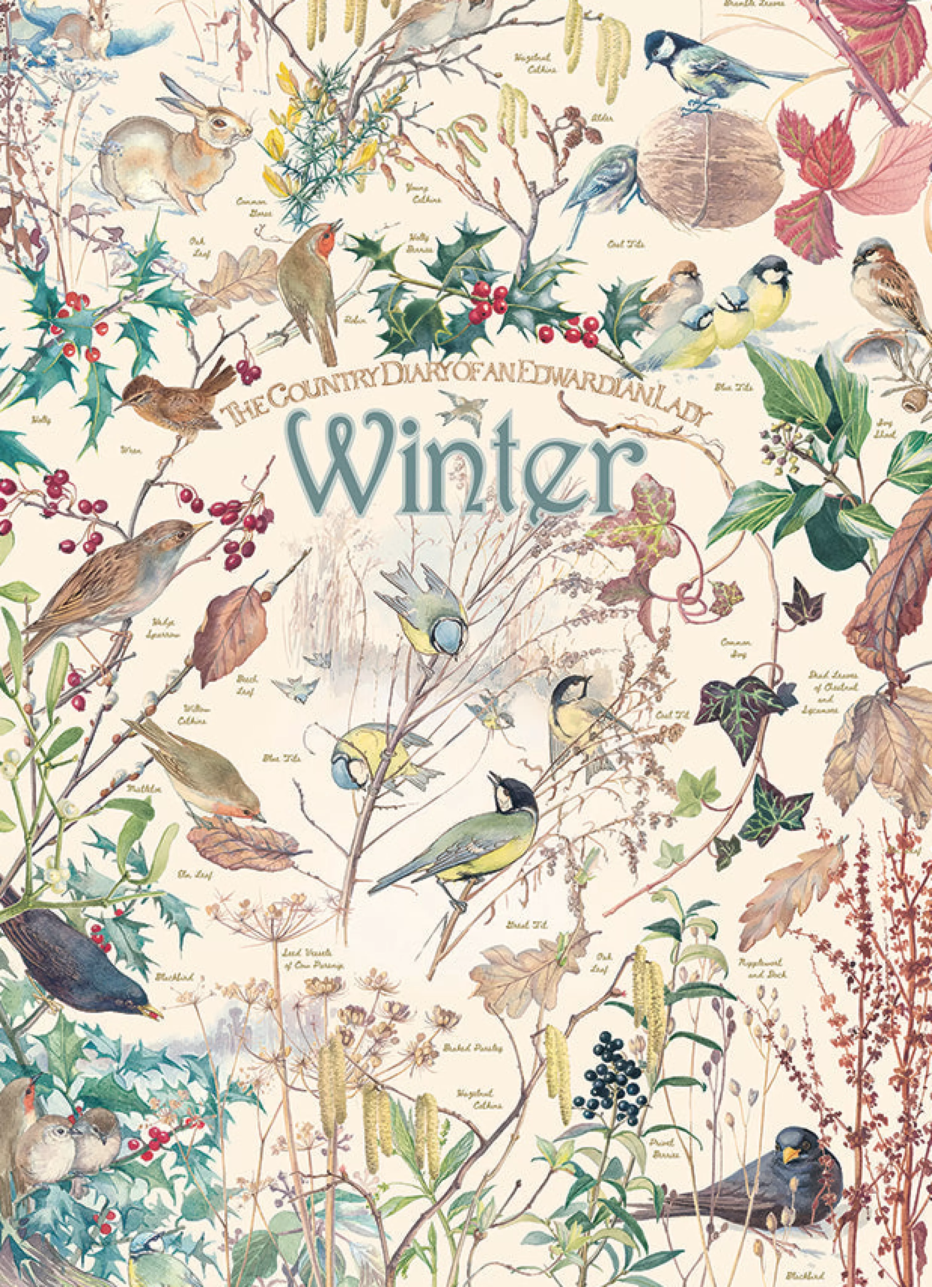 Birds^Cobble Hill Puzzles Country Diary: Winter | 1000 Piece