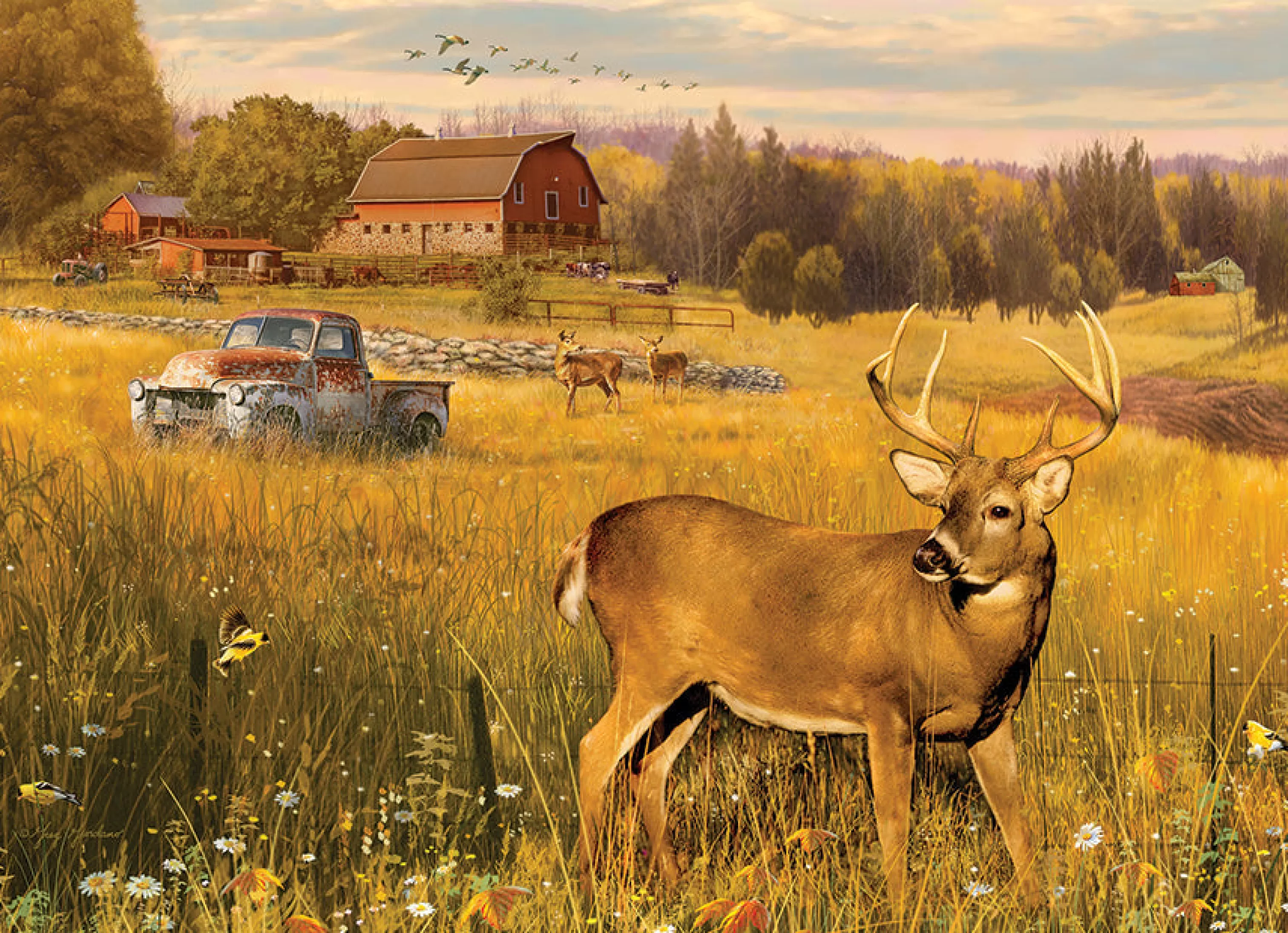 Wildlife^Cobble Hill Puzzles Deer Field | 500 Piece