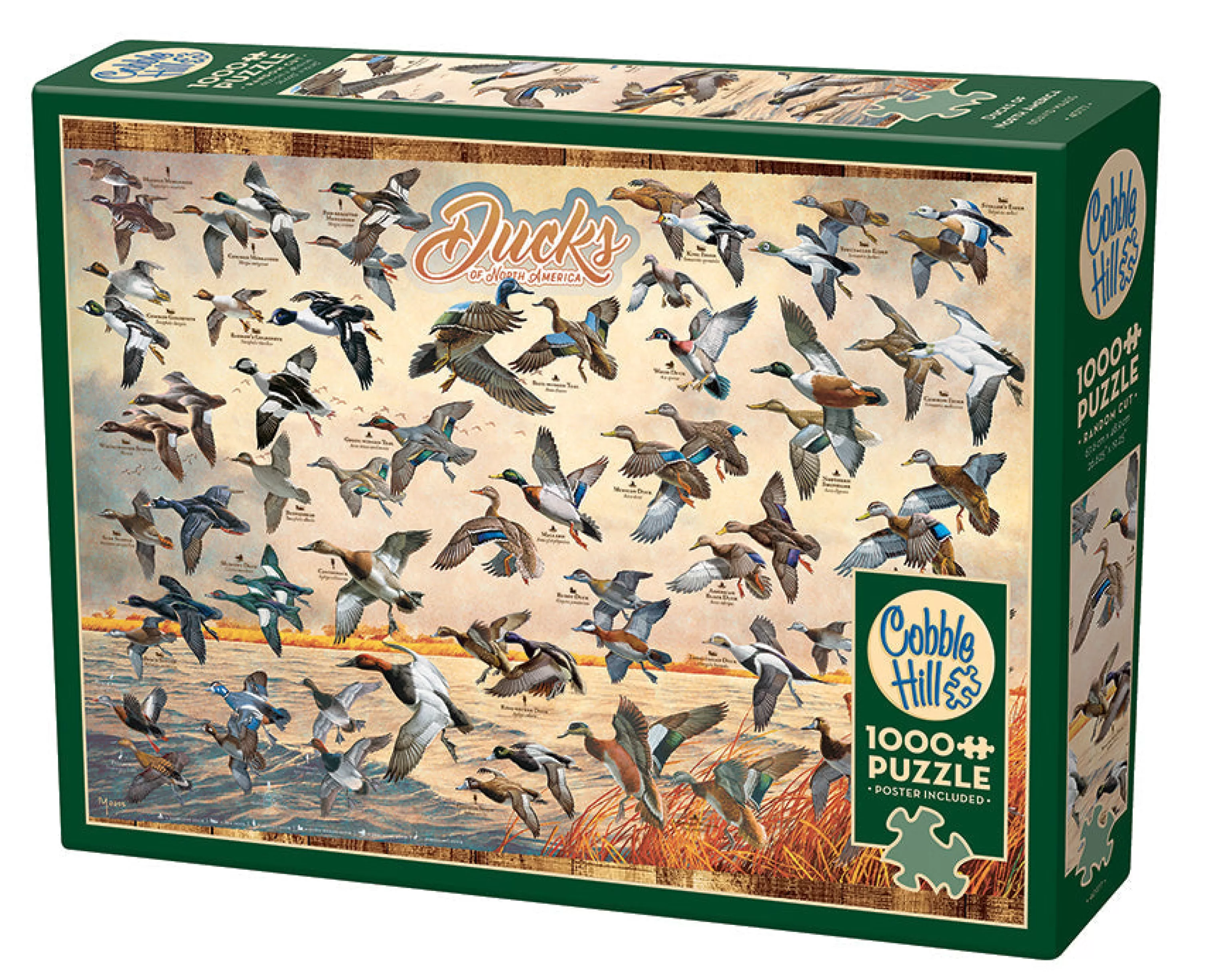 Wildlife^Cobble Hill Puzzles Ducks Of North America | 1000 Piece