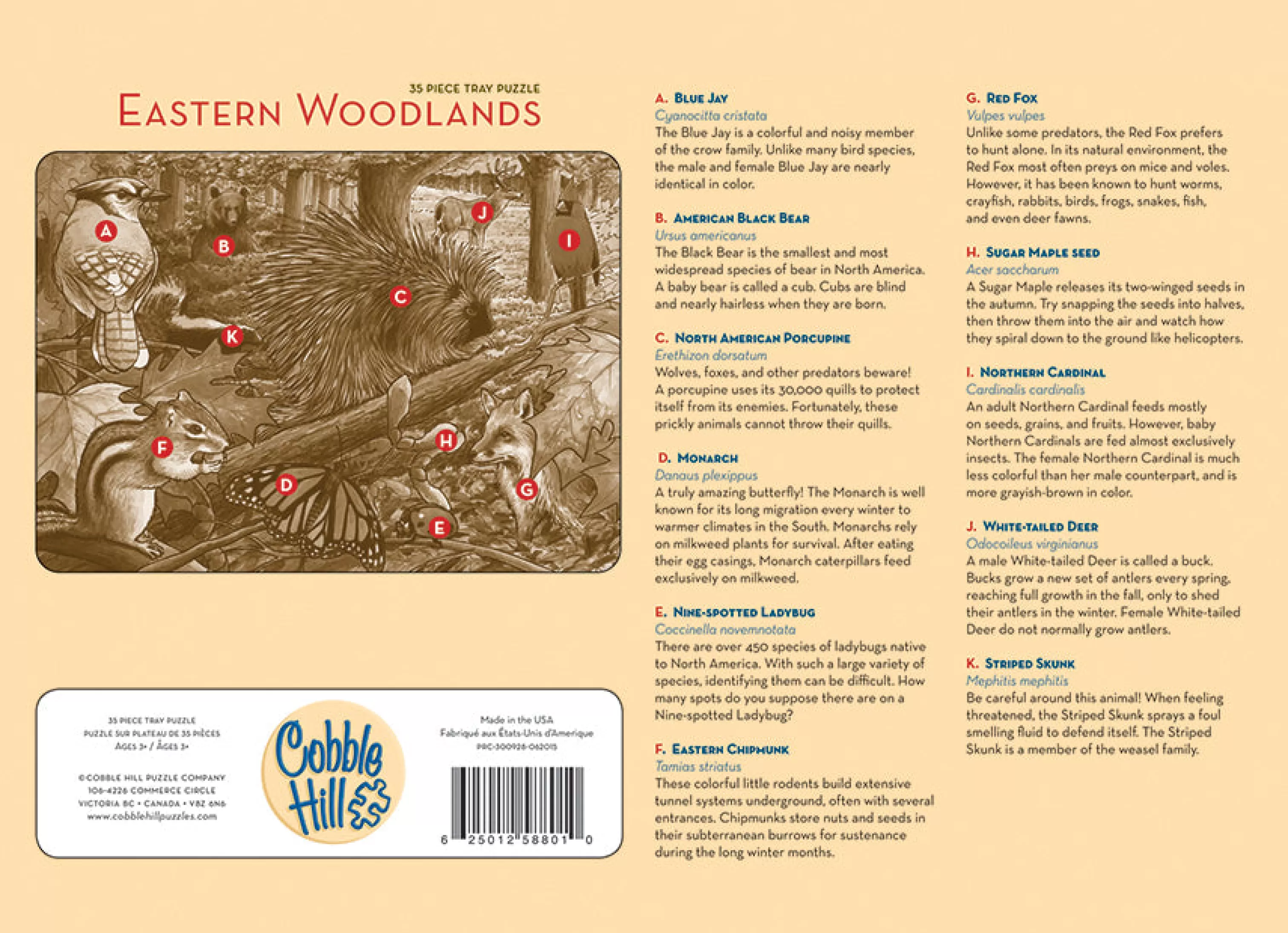 Birds^Cobble Hill Puzzles Eastern Woodlands (Tray) | 35 Piece Tray