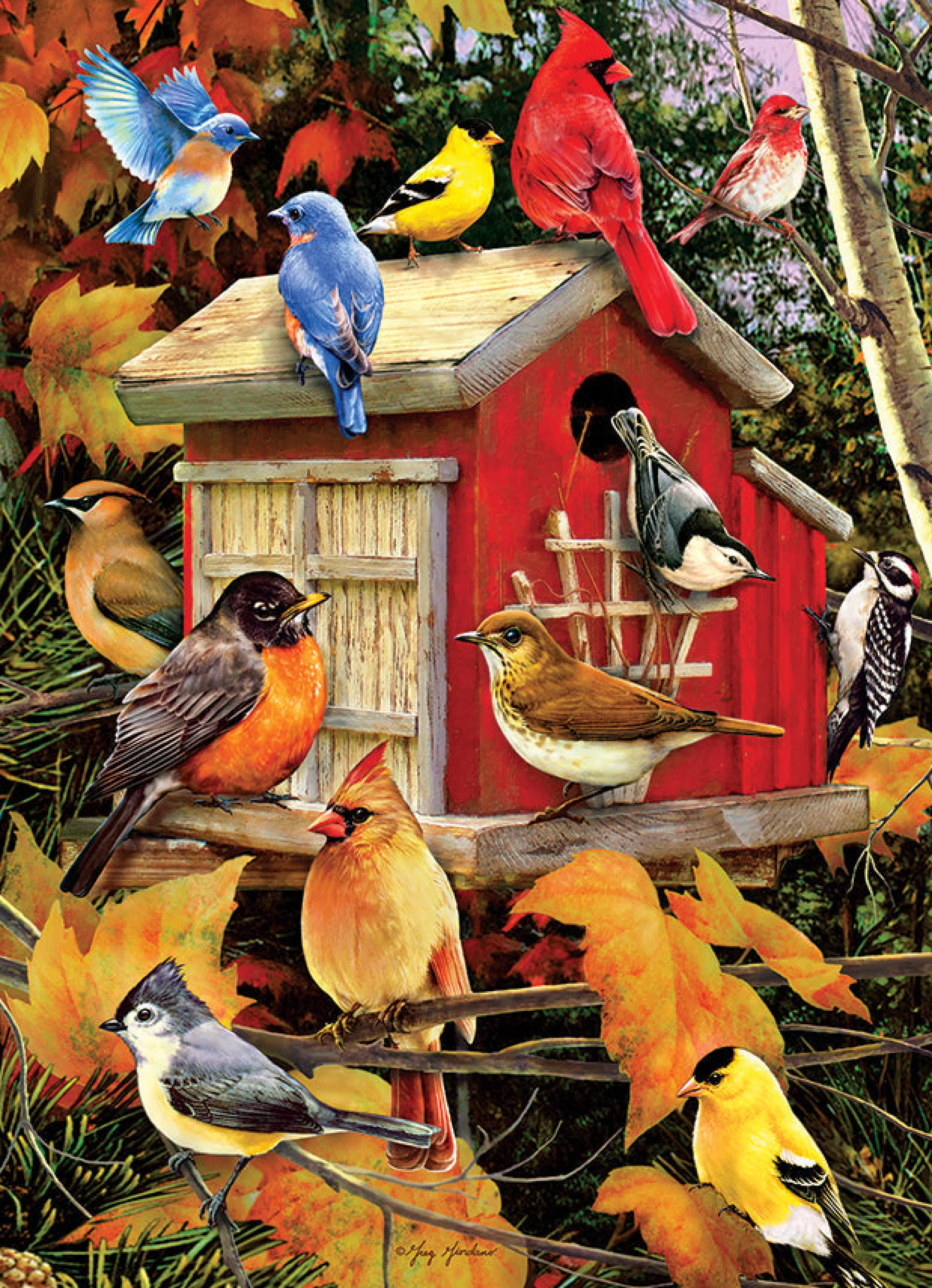 Birds^Cobble Hill Puzzles Fall Birdhouse | 500 Piece