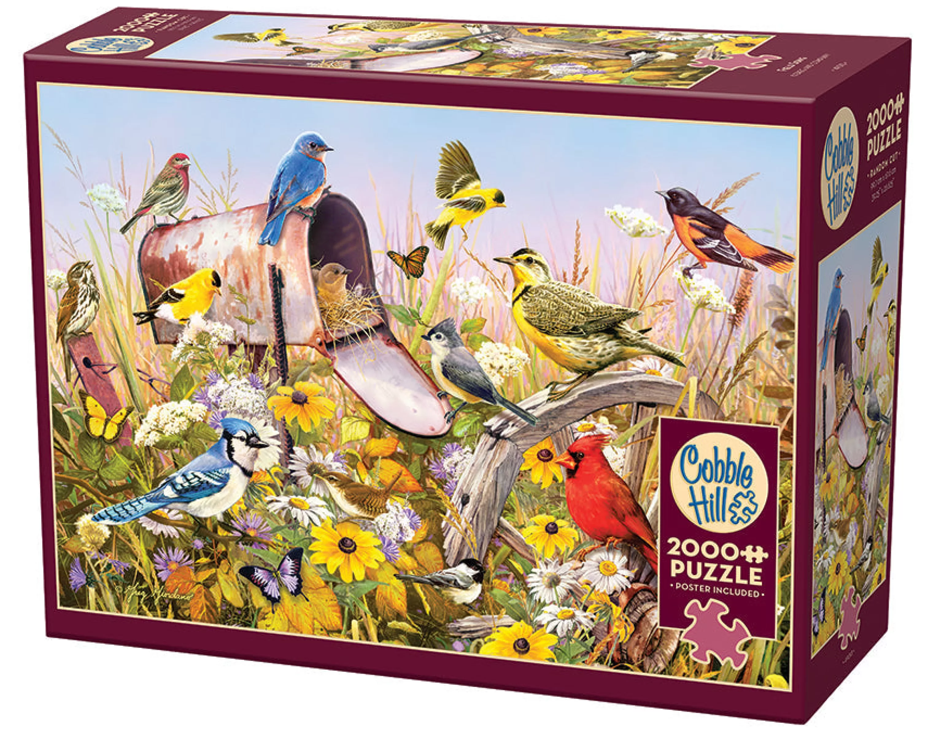 Birds^Cobble Hill Puzzles Field Song | 2000 Piece