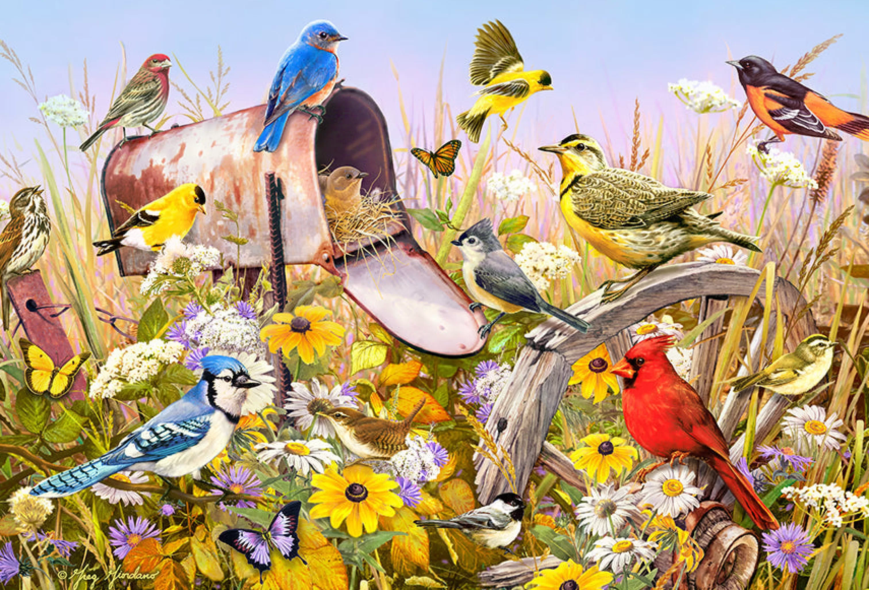 Birds^Cobble Hill Puzzles Field Song | 2000 Piece