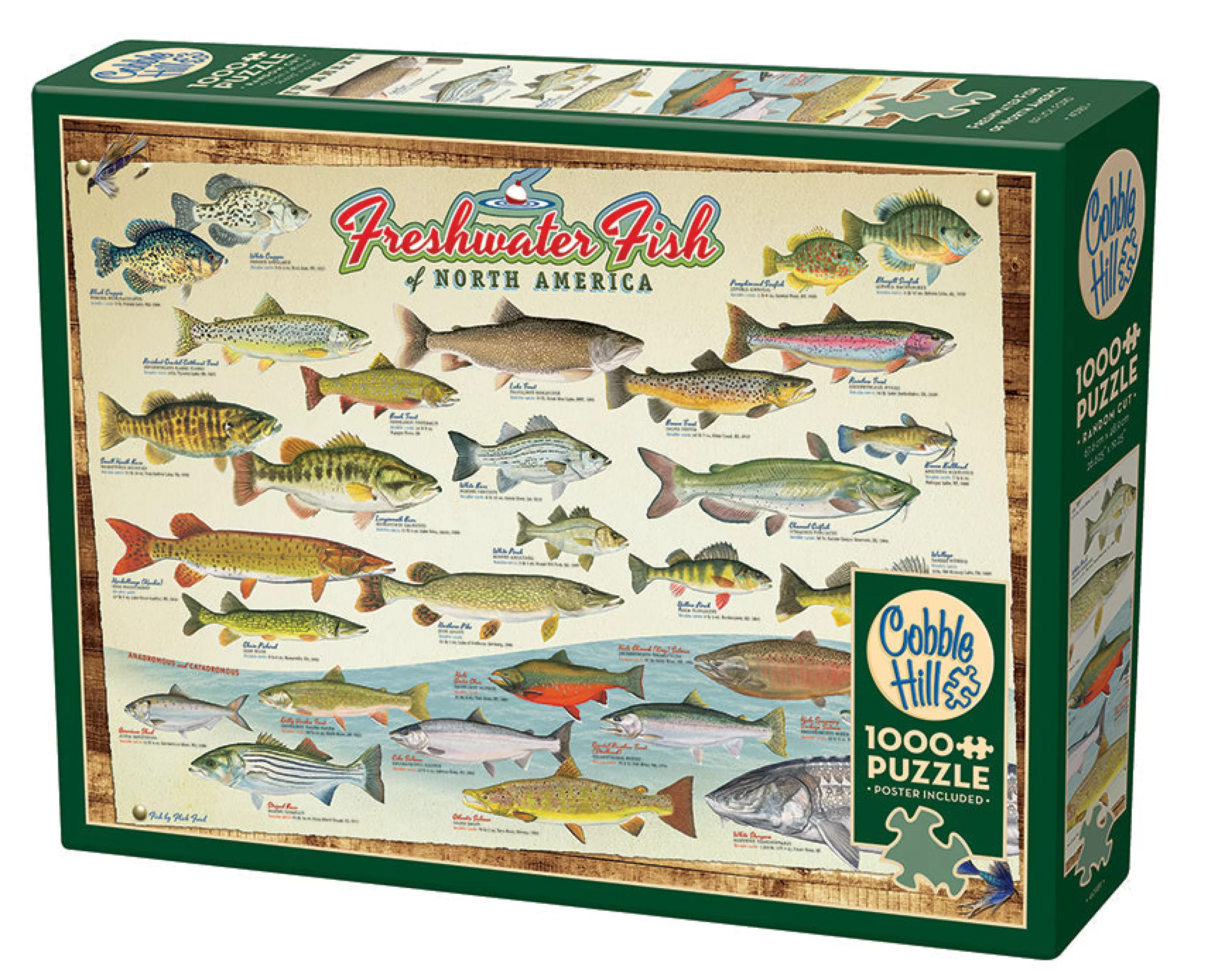 Sports^Cobble Hill Puzzles Freshwater Fish Of North America | 1000 Piece