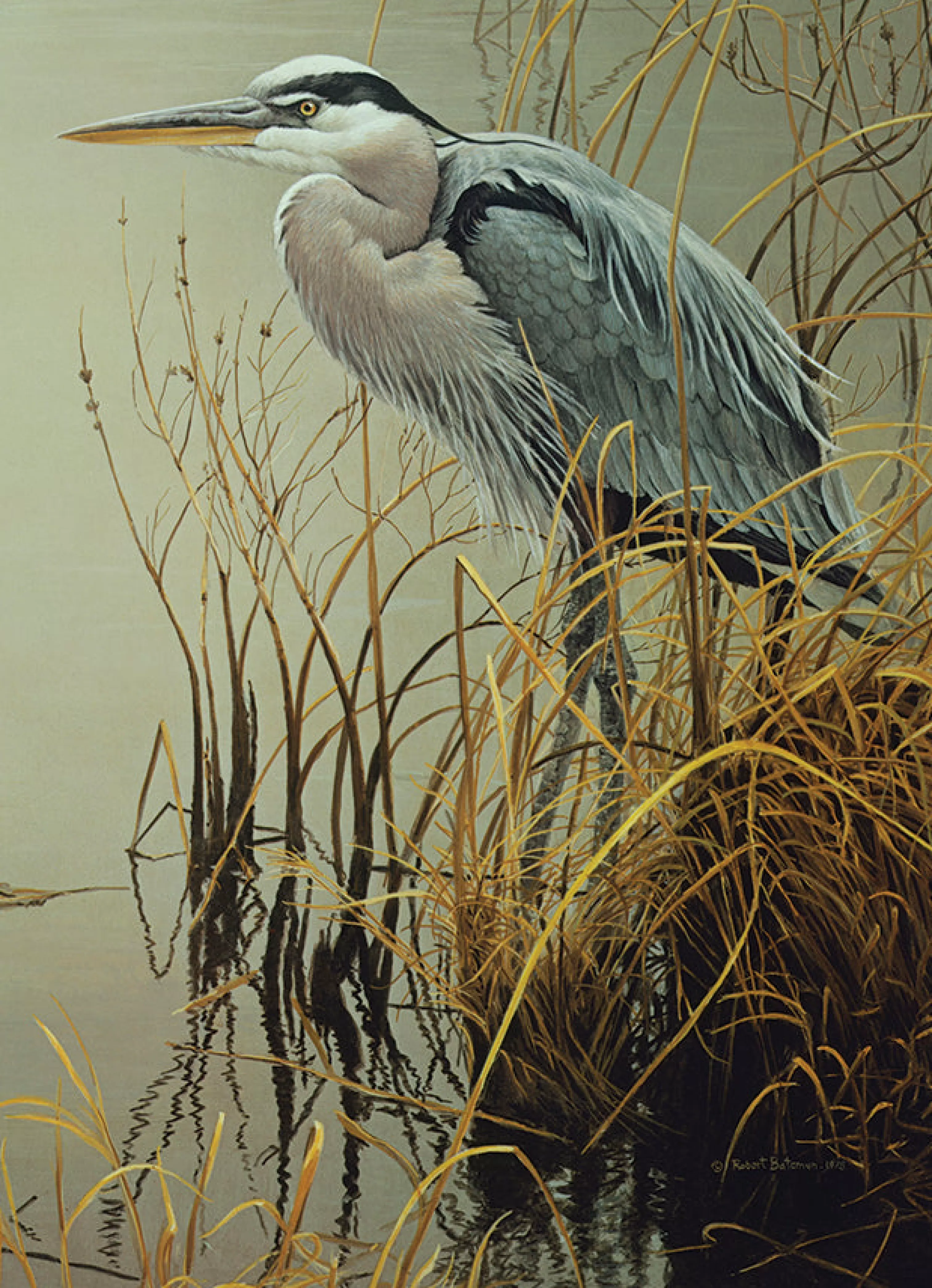 Birds^Cobble Hill Puzzles Great Blue Heron | 500 Piece