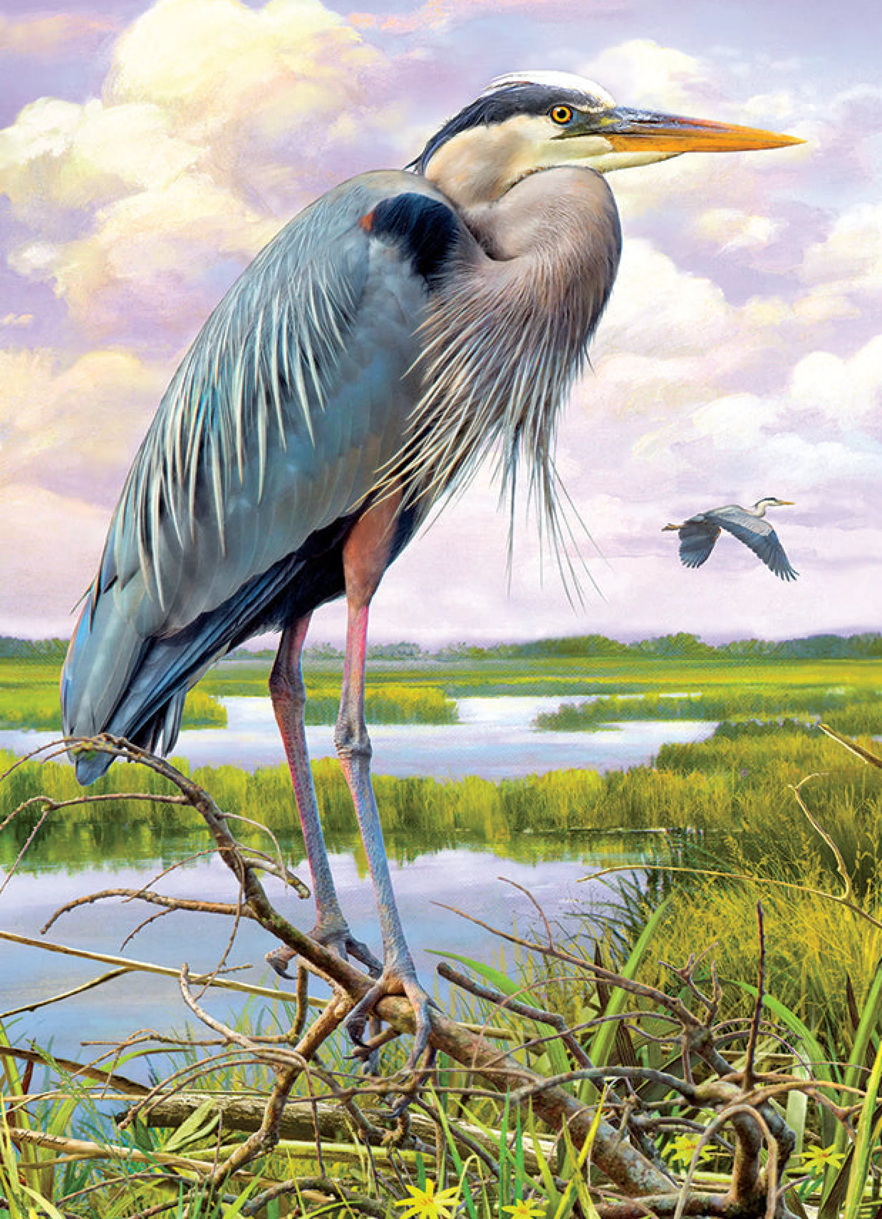 Birds^Cobble Hill Puzzles Heron | 1000 Piece