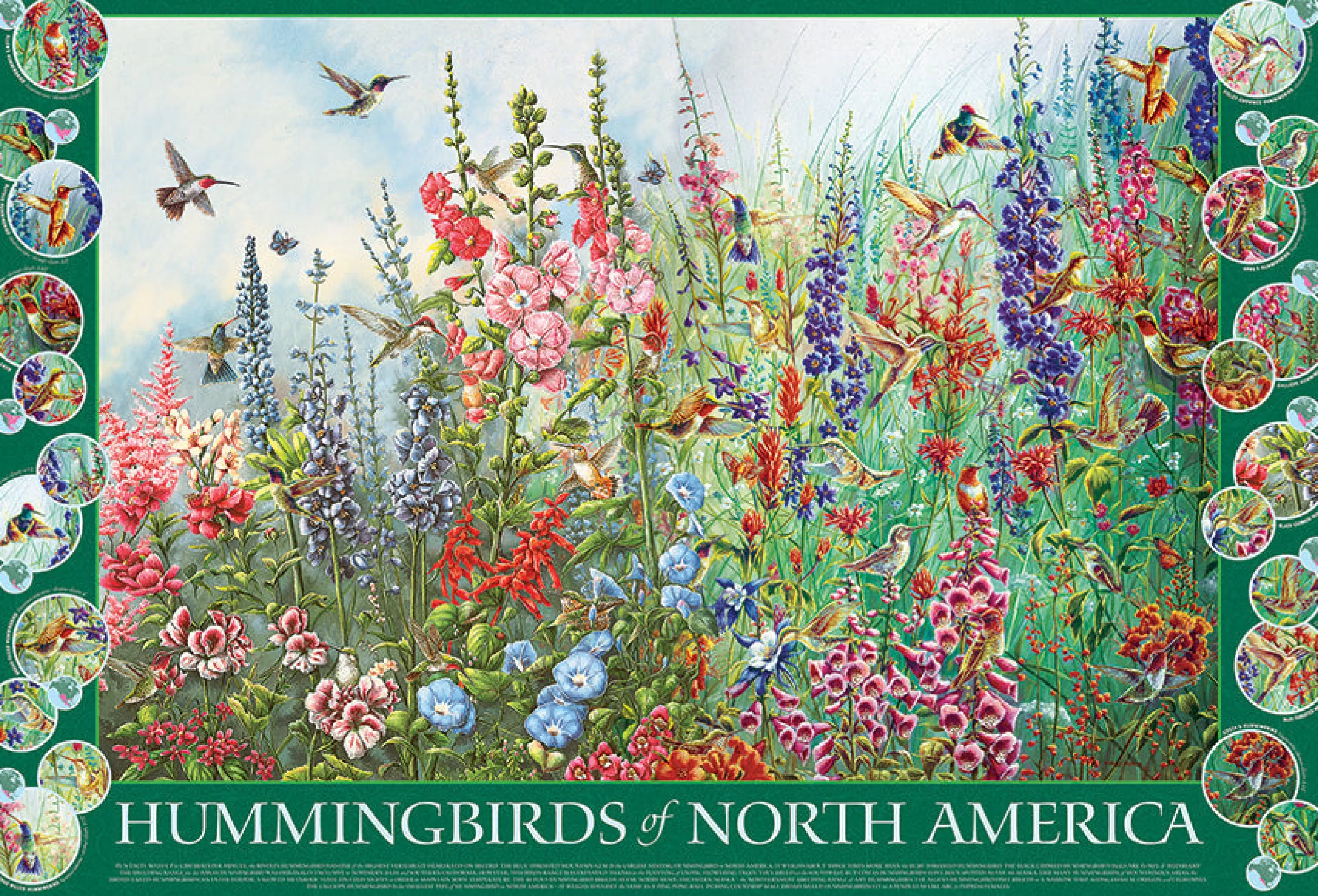 Birds^Cobble Hill Puzzles Hummingbirds Of North America | 2000 Piece