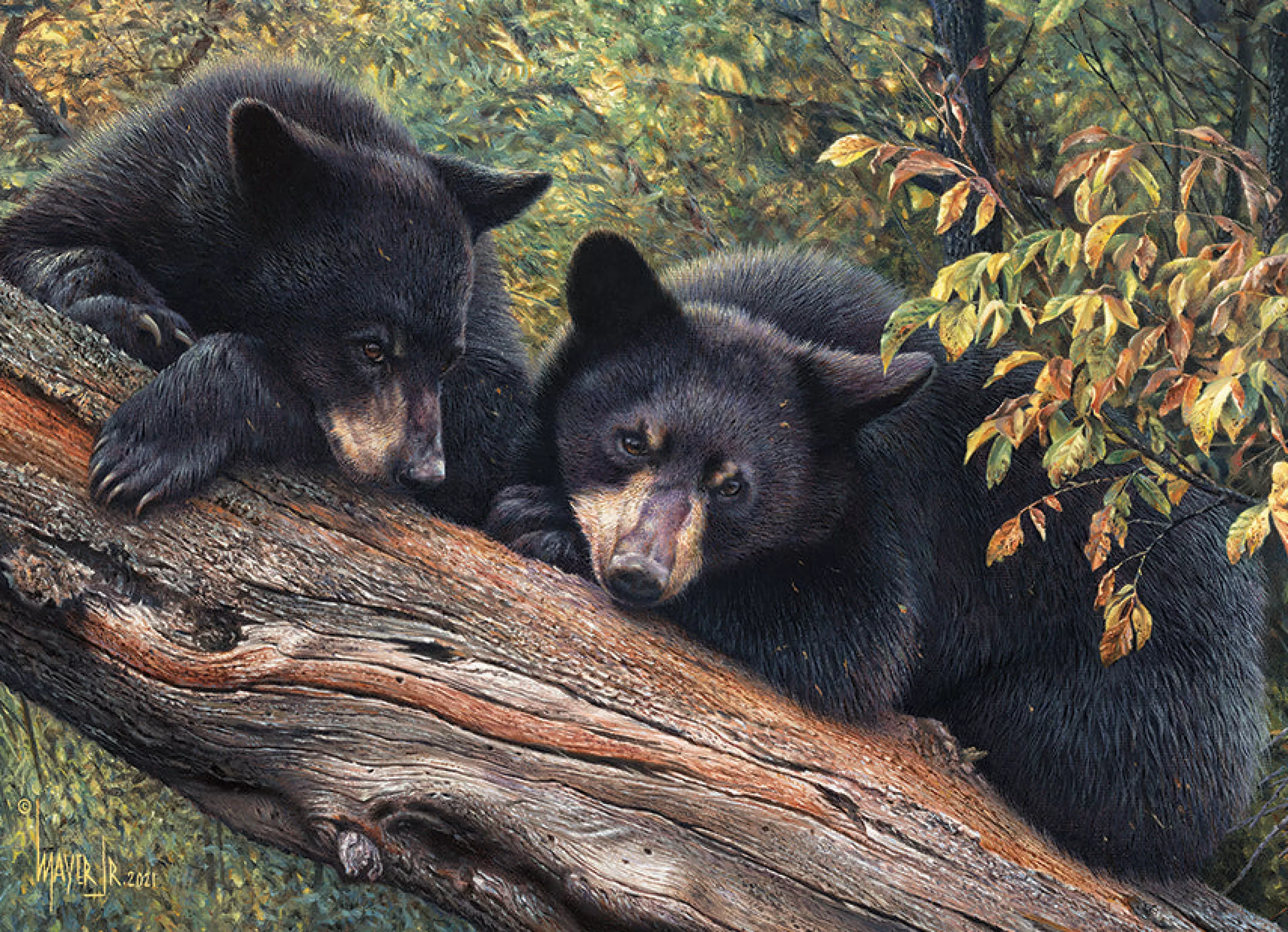 Wildlife^Cobble Hill Puzzles Mom'S Awaiting | 1000 Piece