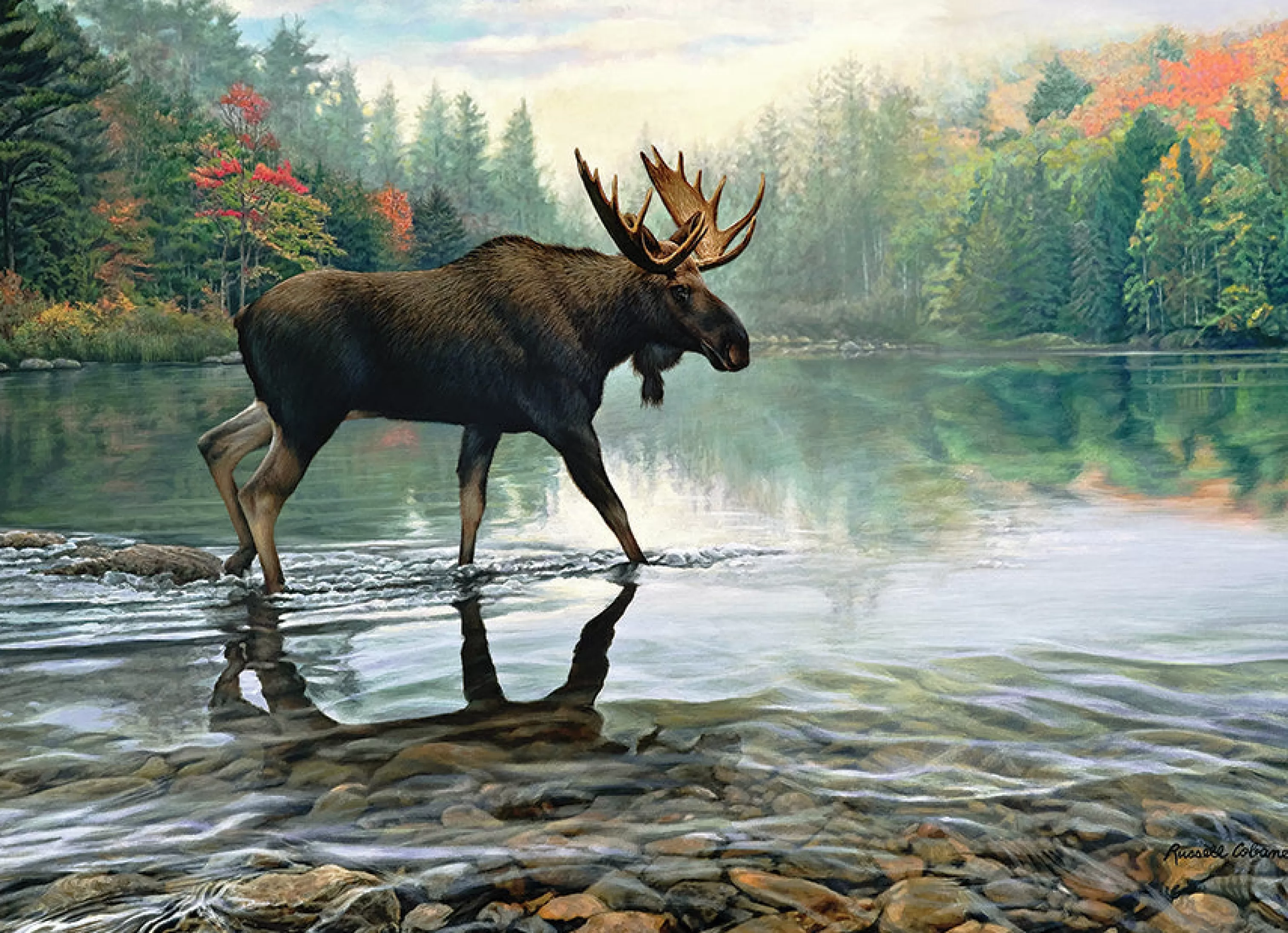 Waterscape^Cobble Hill Puzzles Moose Crossing | 1000 Piece