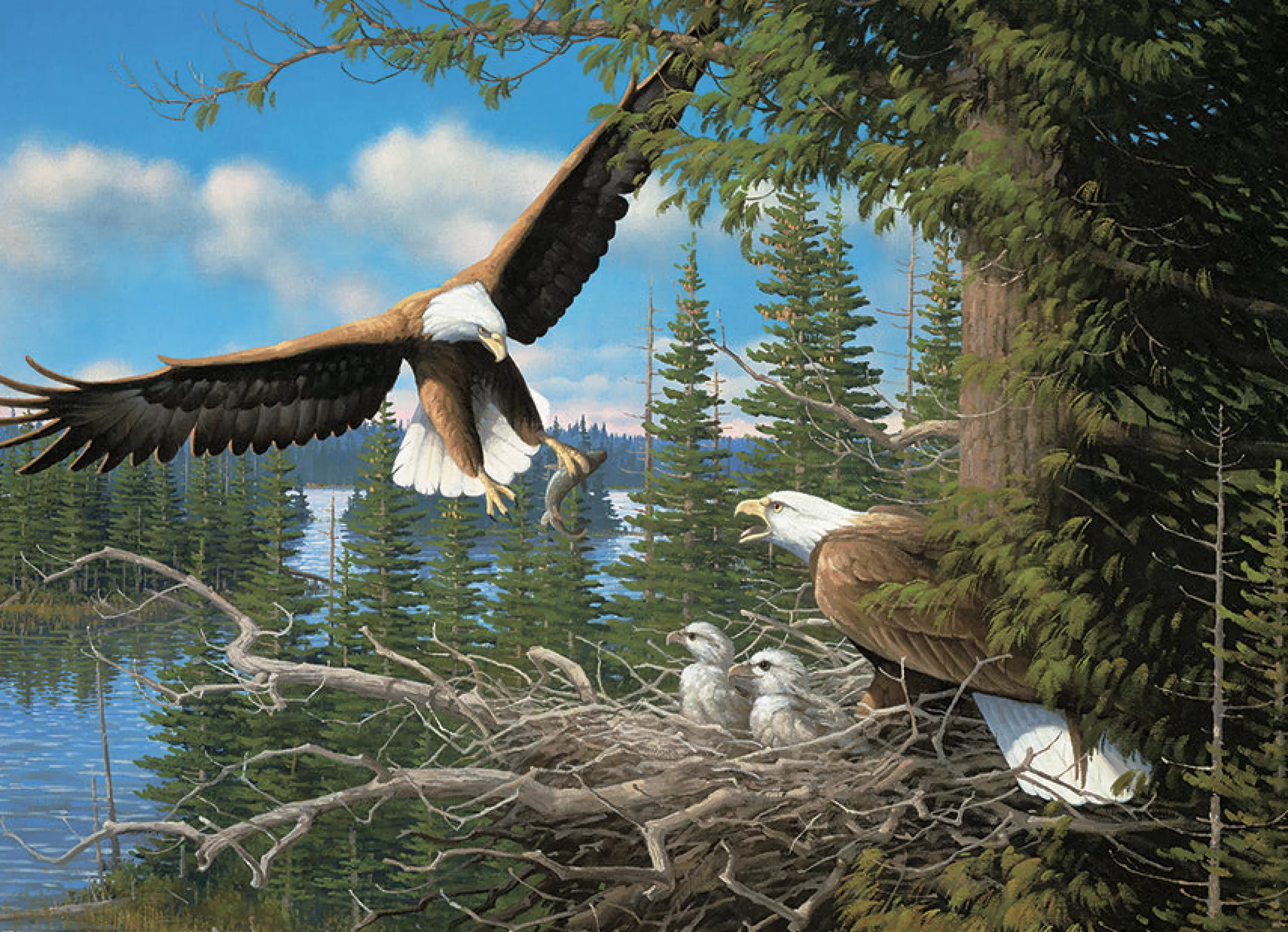 Mountainscape^Cobble Hill Puzzles Nesting Eagles | 1000 Piece