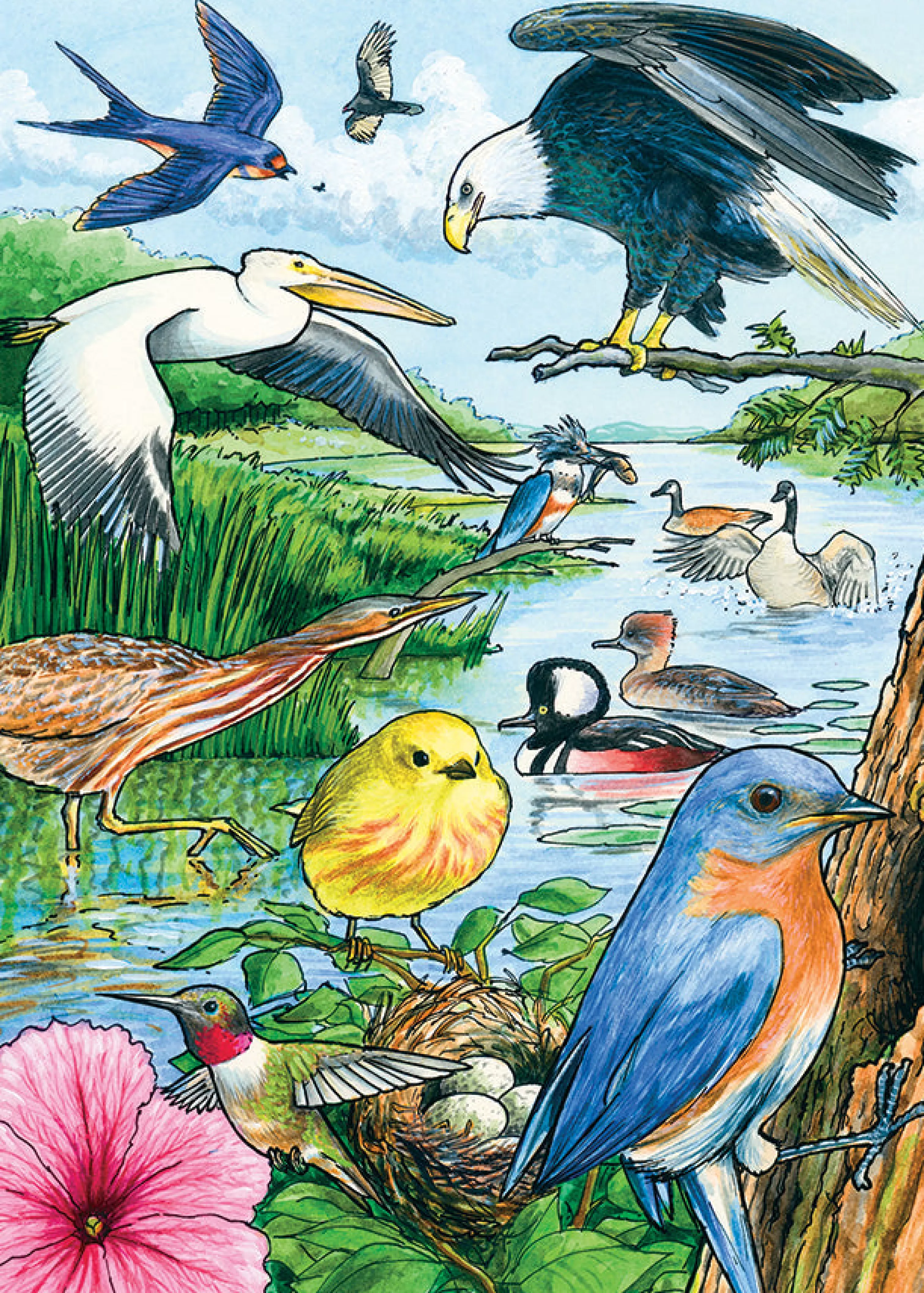 Mountainscape^Cobble Hill Puzzles North American Birds (Tray) | 35 Piece Tray