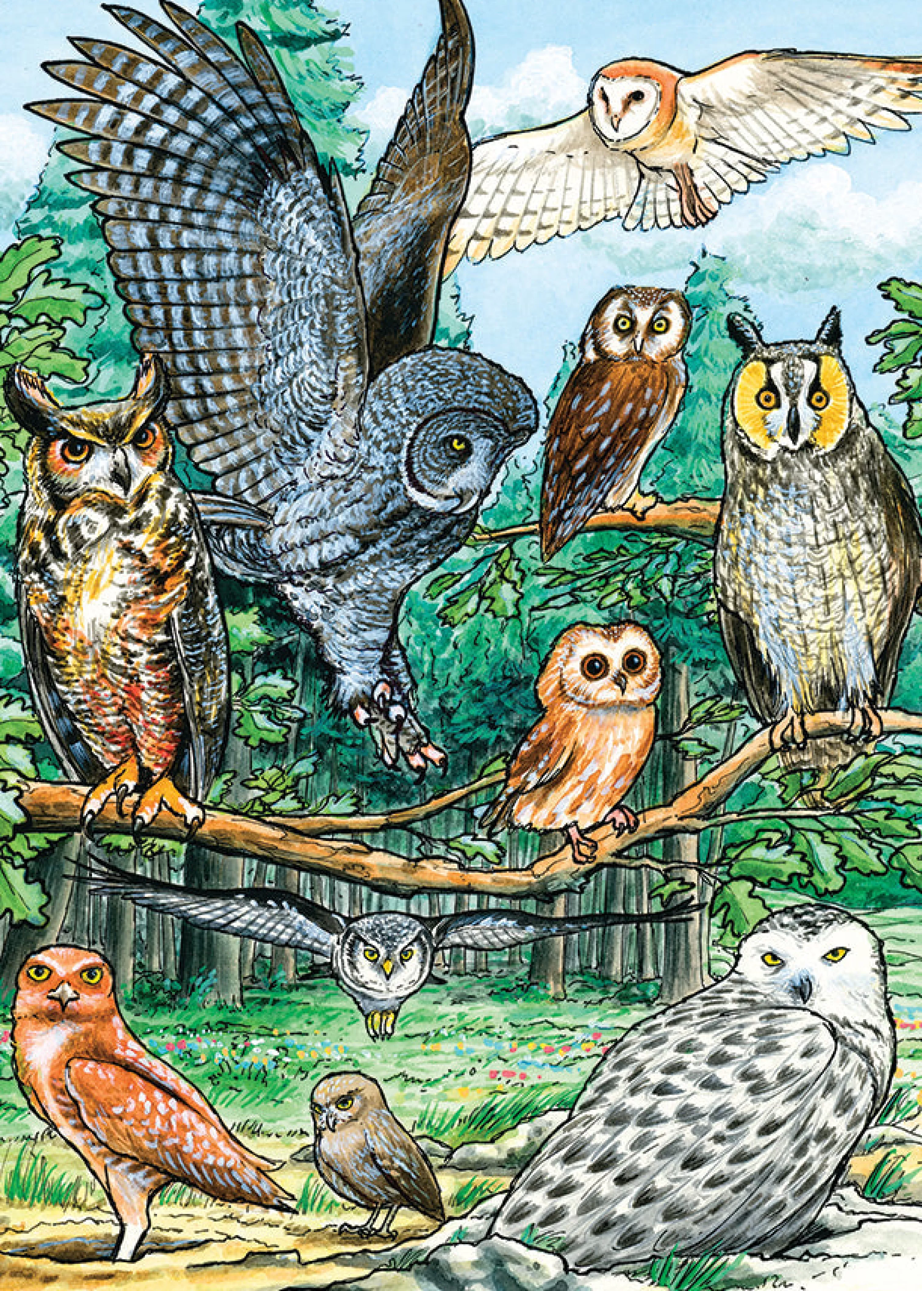 Mountainscape^Cobble Hill Puzzles North American Owls (Tray) | 35 Piece Tray