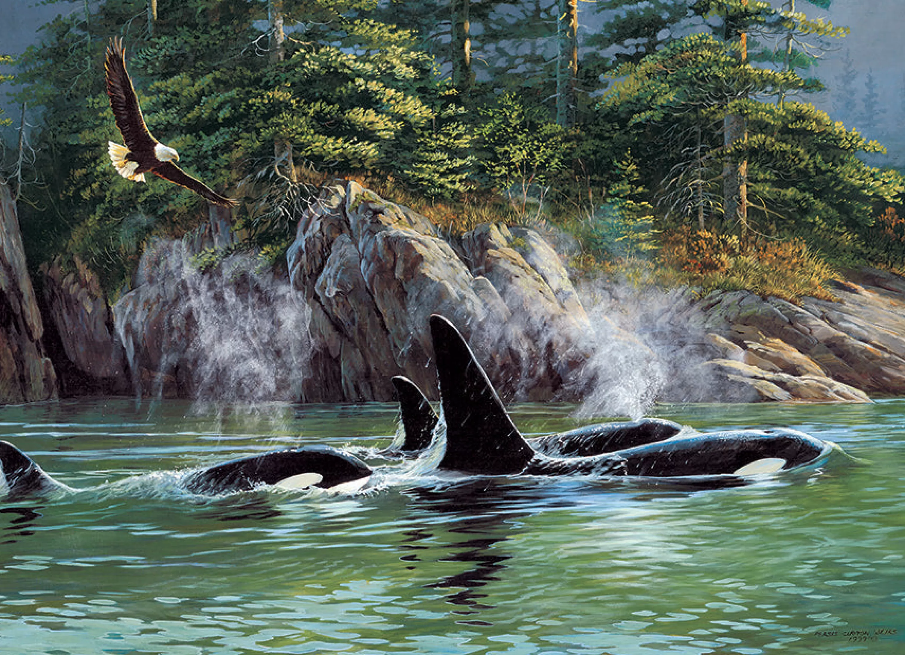 Aquatic^Cobble Hill Puzzles Orcas | 1000 Piece