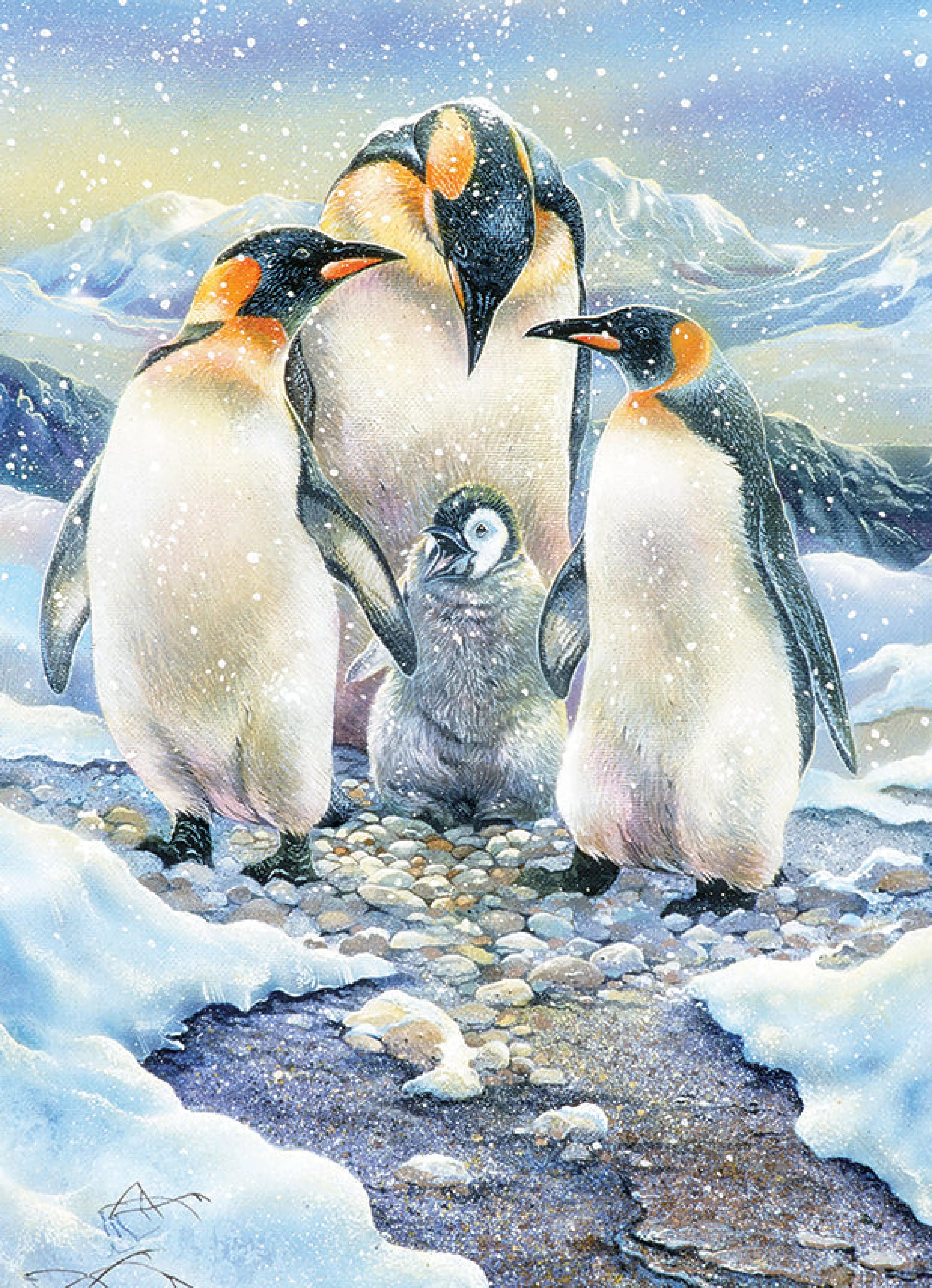 Wildlife^Cobble Hill Puzzles Penguin Family (Family) | Family Pieces 350