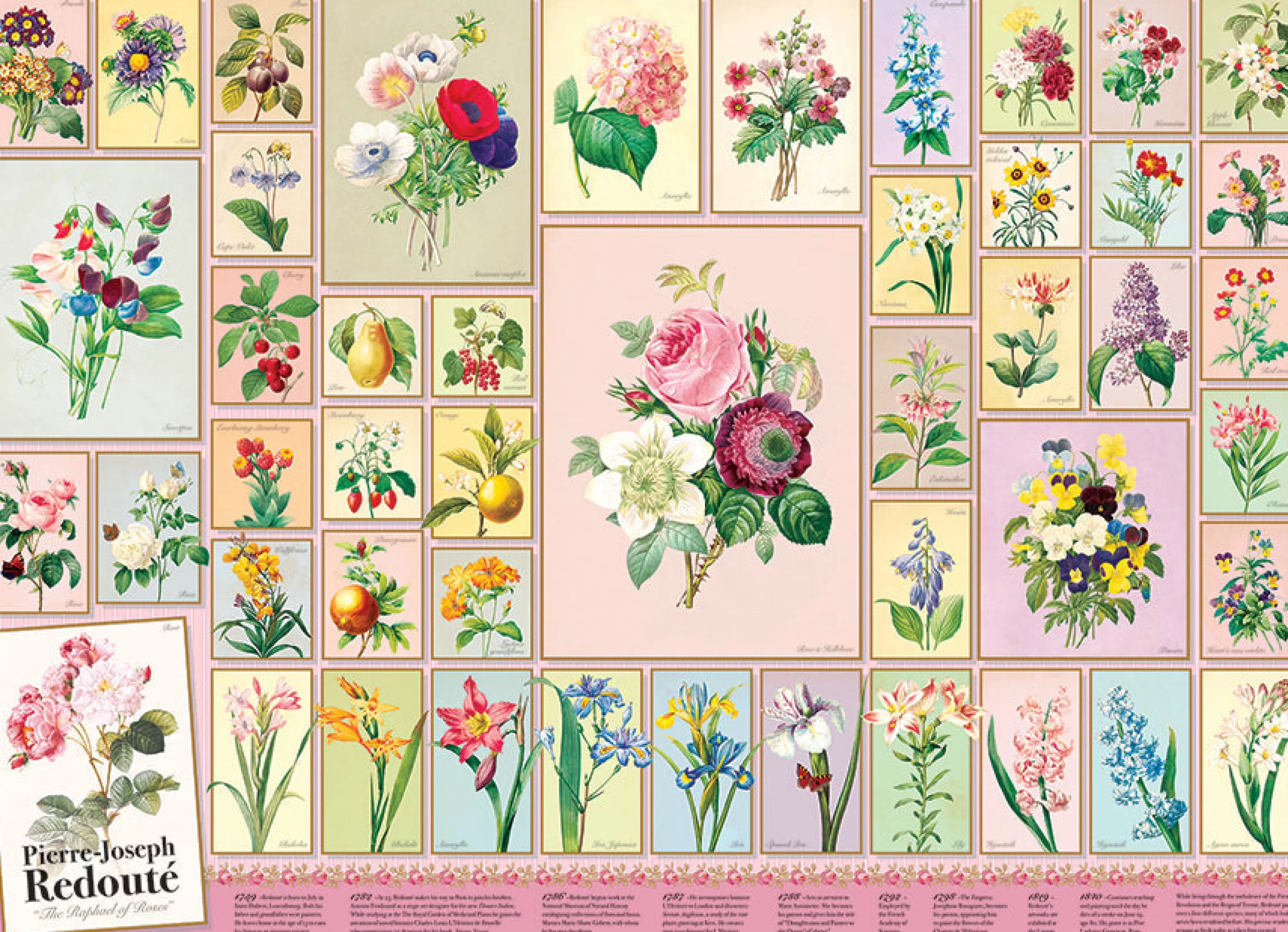 Flowers | Gardens^Cobble Hill Puzzles Redoute | 1000 Piece