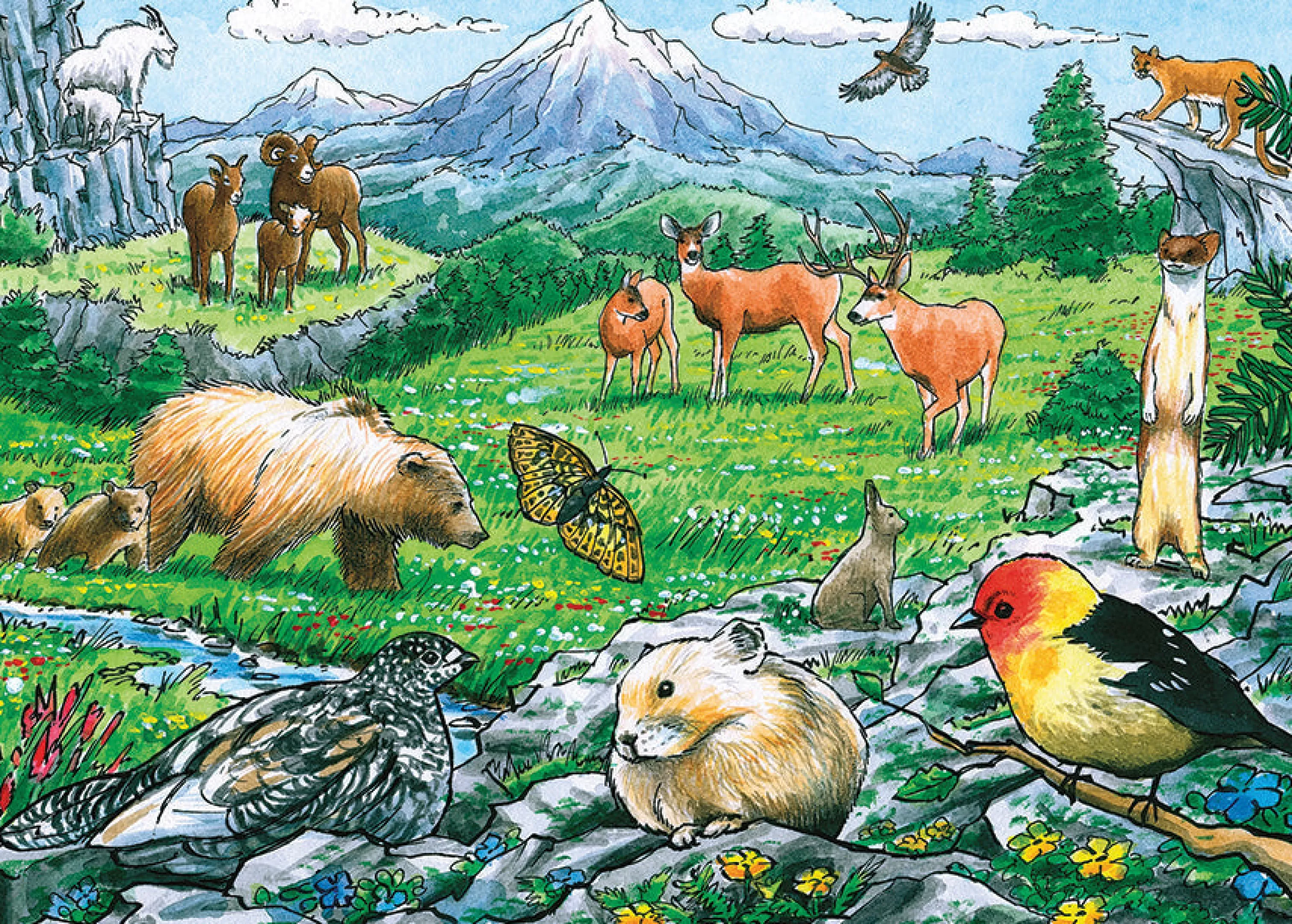 Cats^Cobble Hill Puzzles Rocky Mountain Wildlife (Tray) | 35 Piece Tray