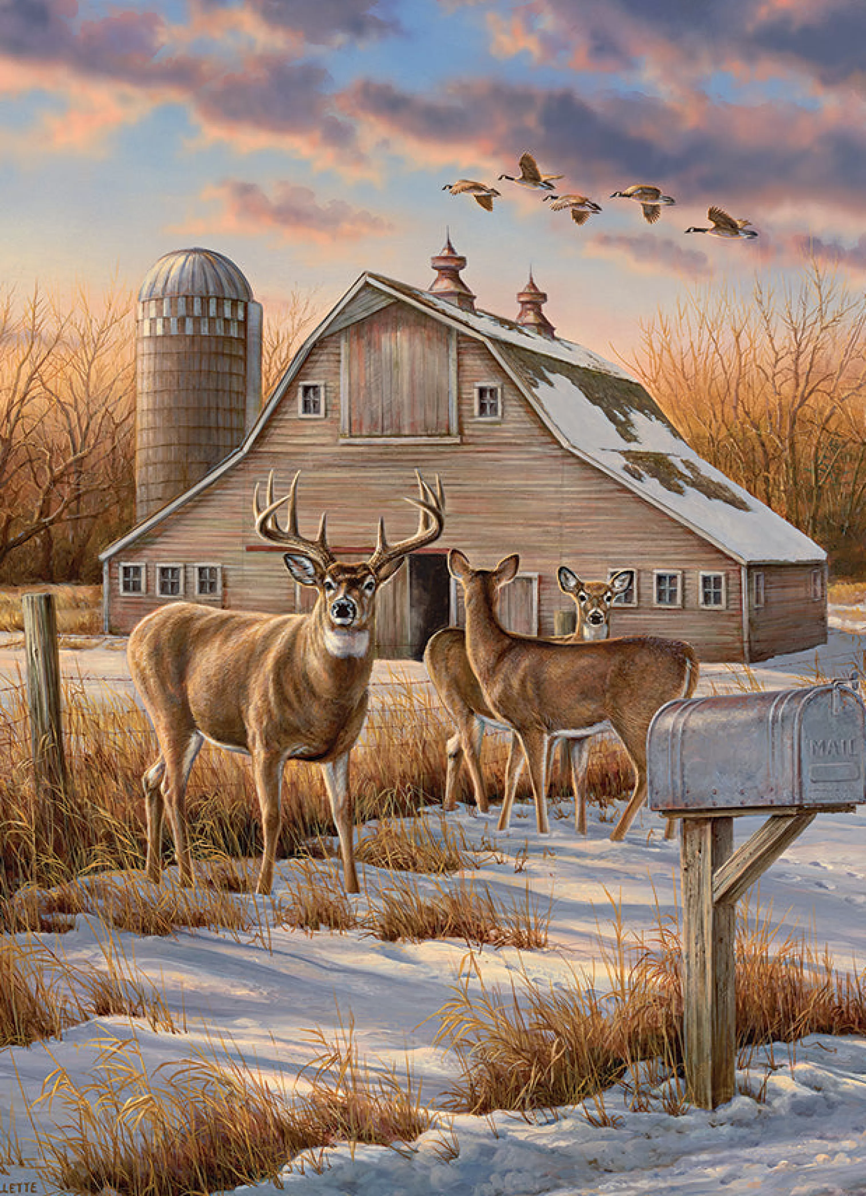 Birds^Cobble Hill Puzzles Rural Route | 1000 Piece