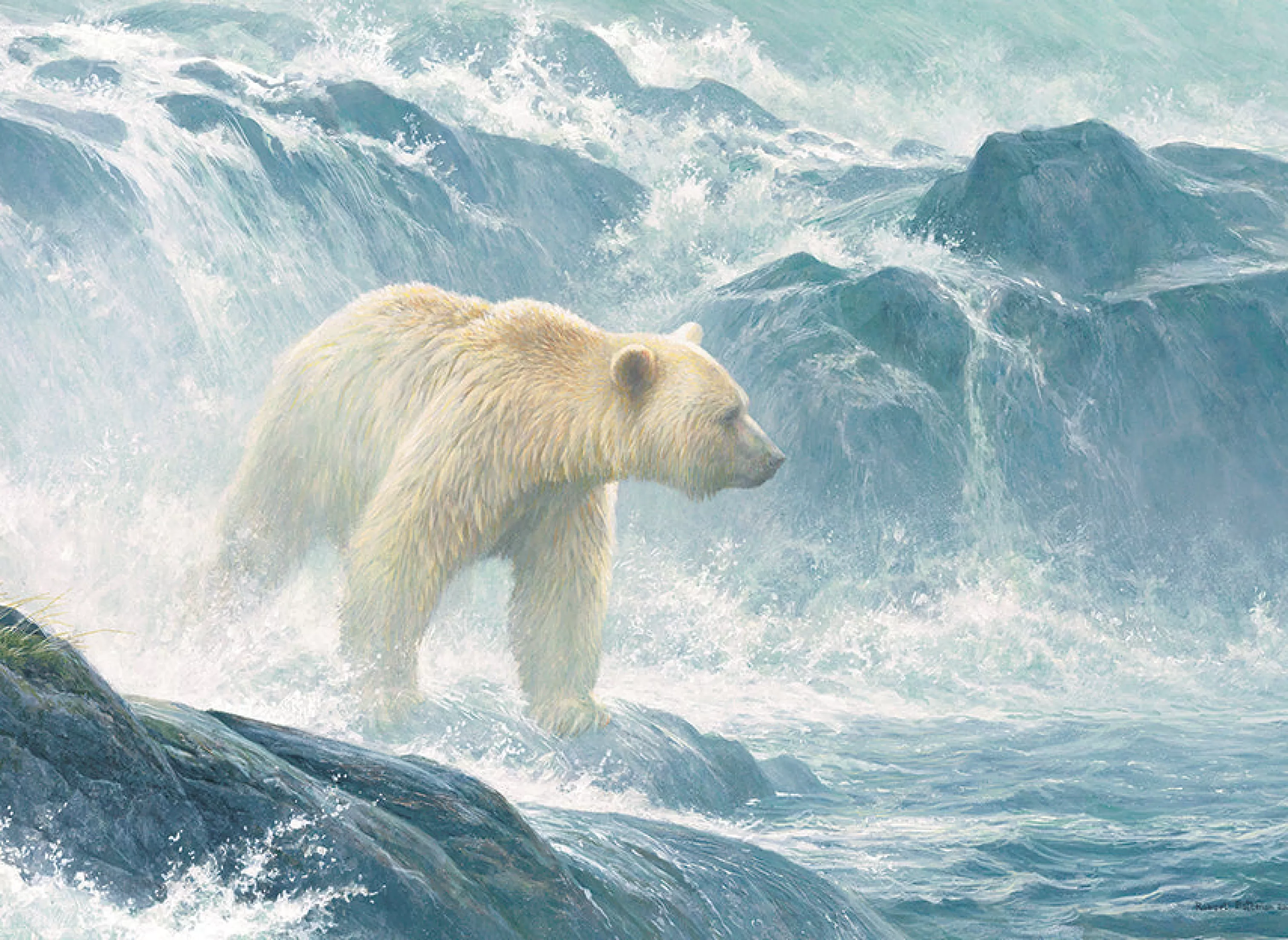 Waterscape^Cobble Hill Puzzles Salmon Watch - Spirit Bear | 500 Piece