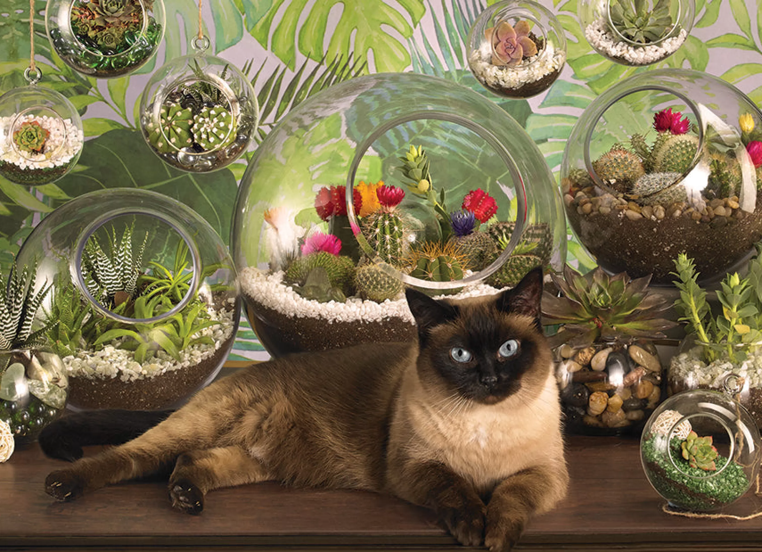 Flowers | Gardens^Cobble Hill Puzzles Terrarium Cat | 1000 Piece