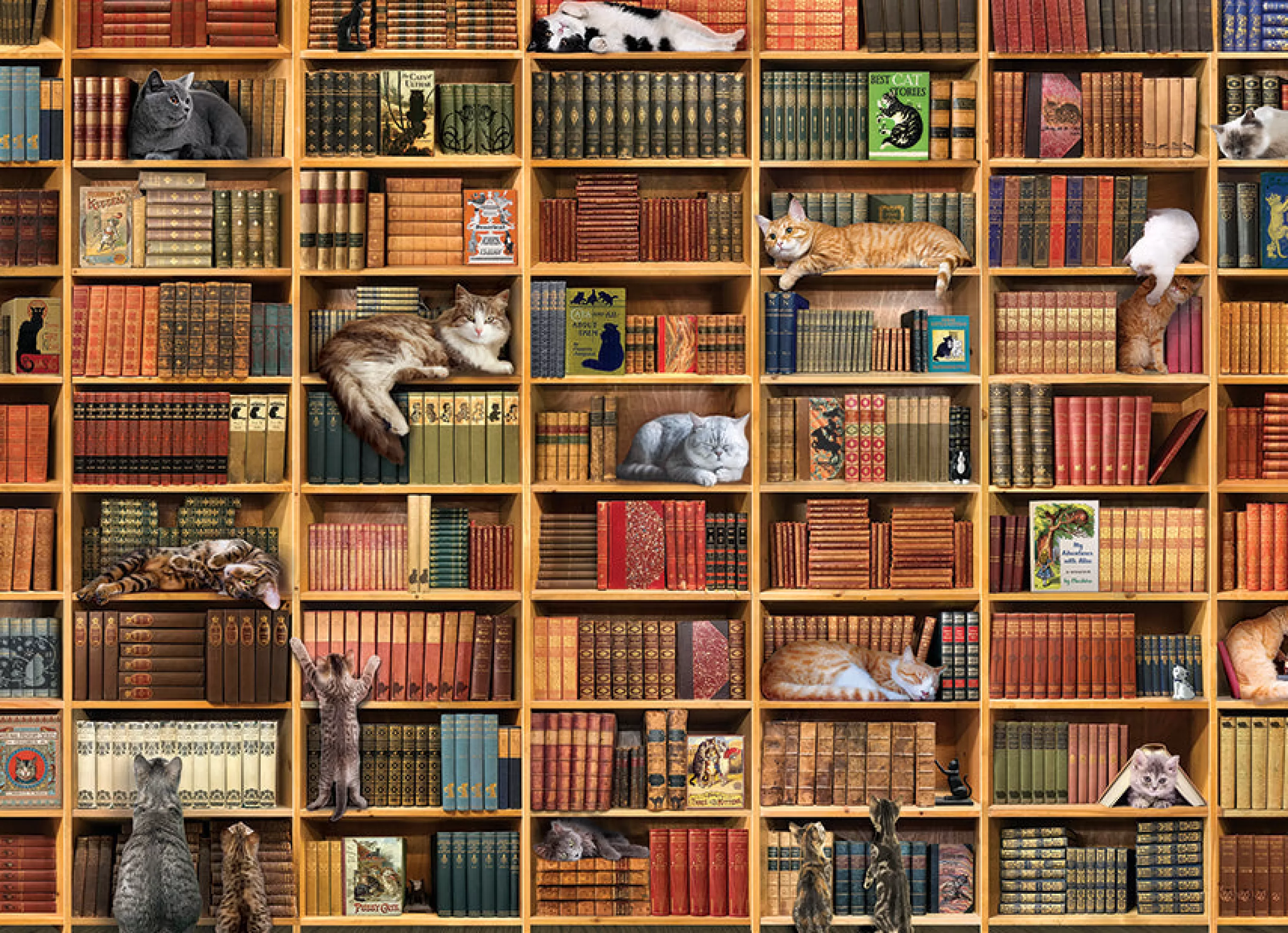 Books^Cobble Hill Puzzles The Cat Library | 1000 Piece