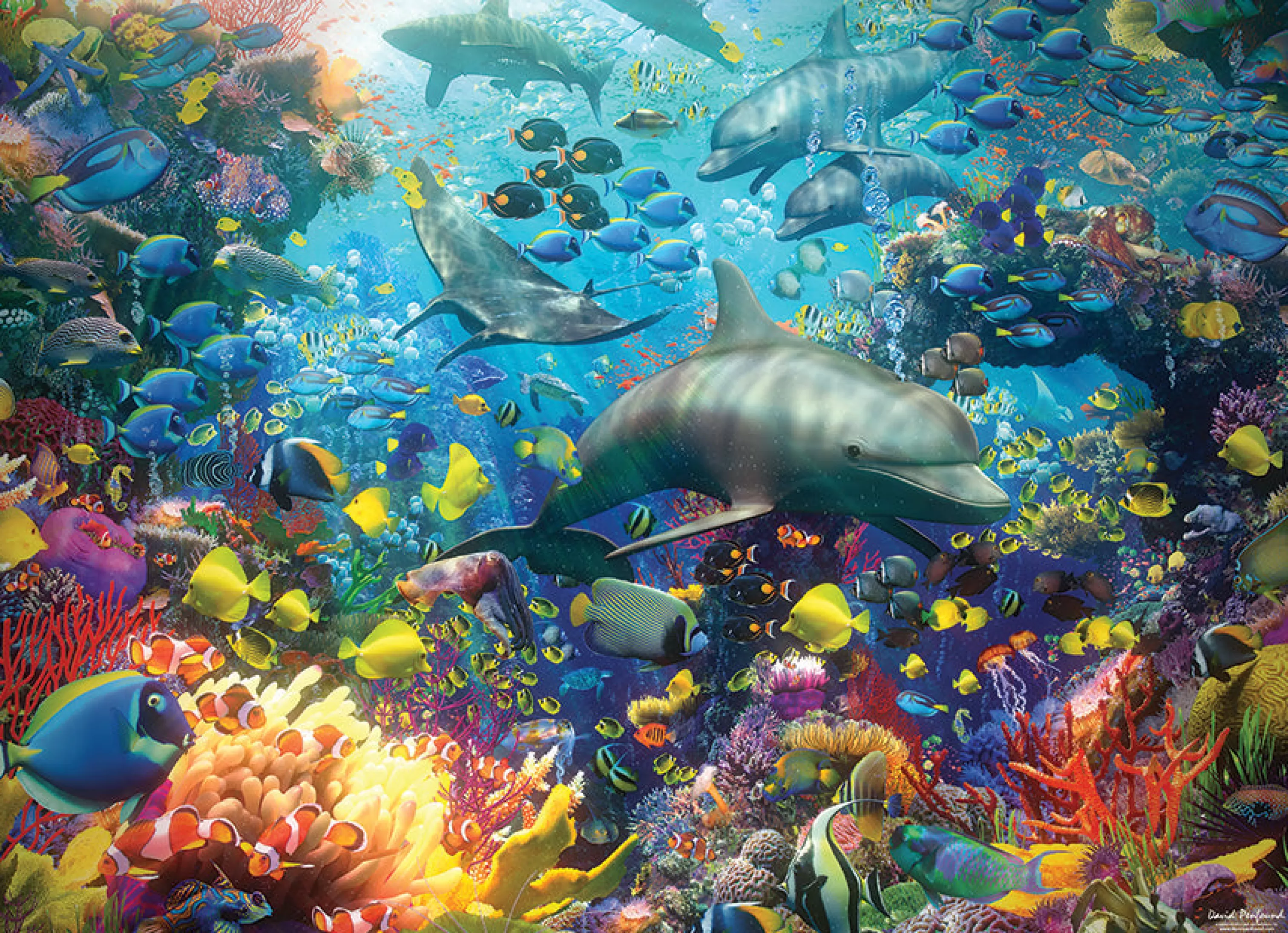 Aquatic^Cobble Hill Puzzles Vibrant Sea | 1000 Piece