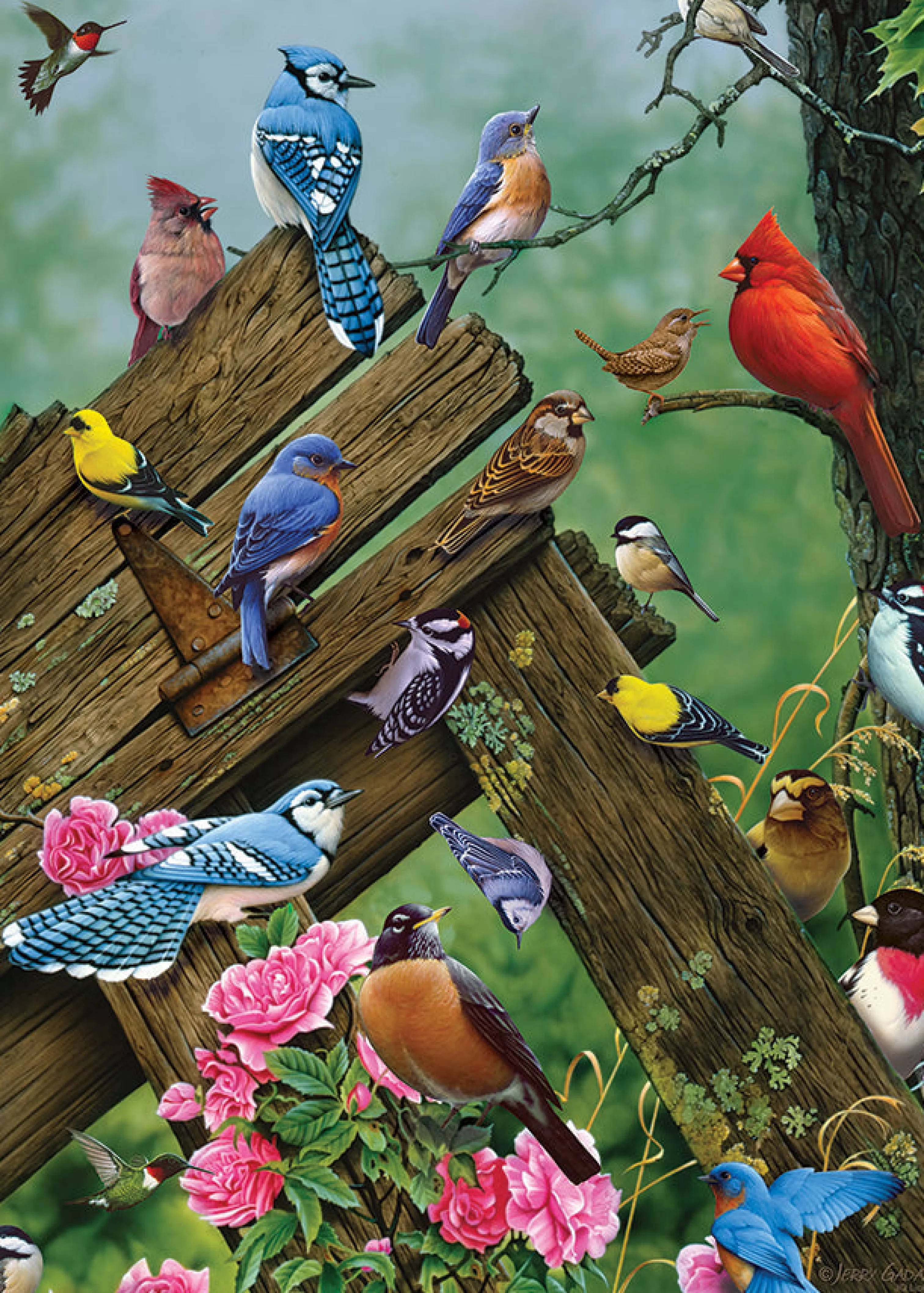 Birds^Cobble Hill Puzzles Wildbird Gathering (Tray) | 35 Piece Tray