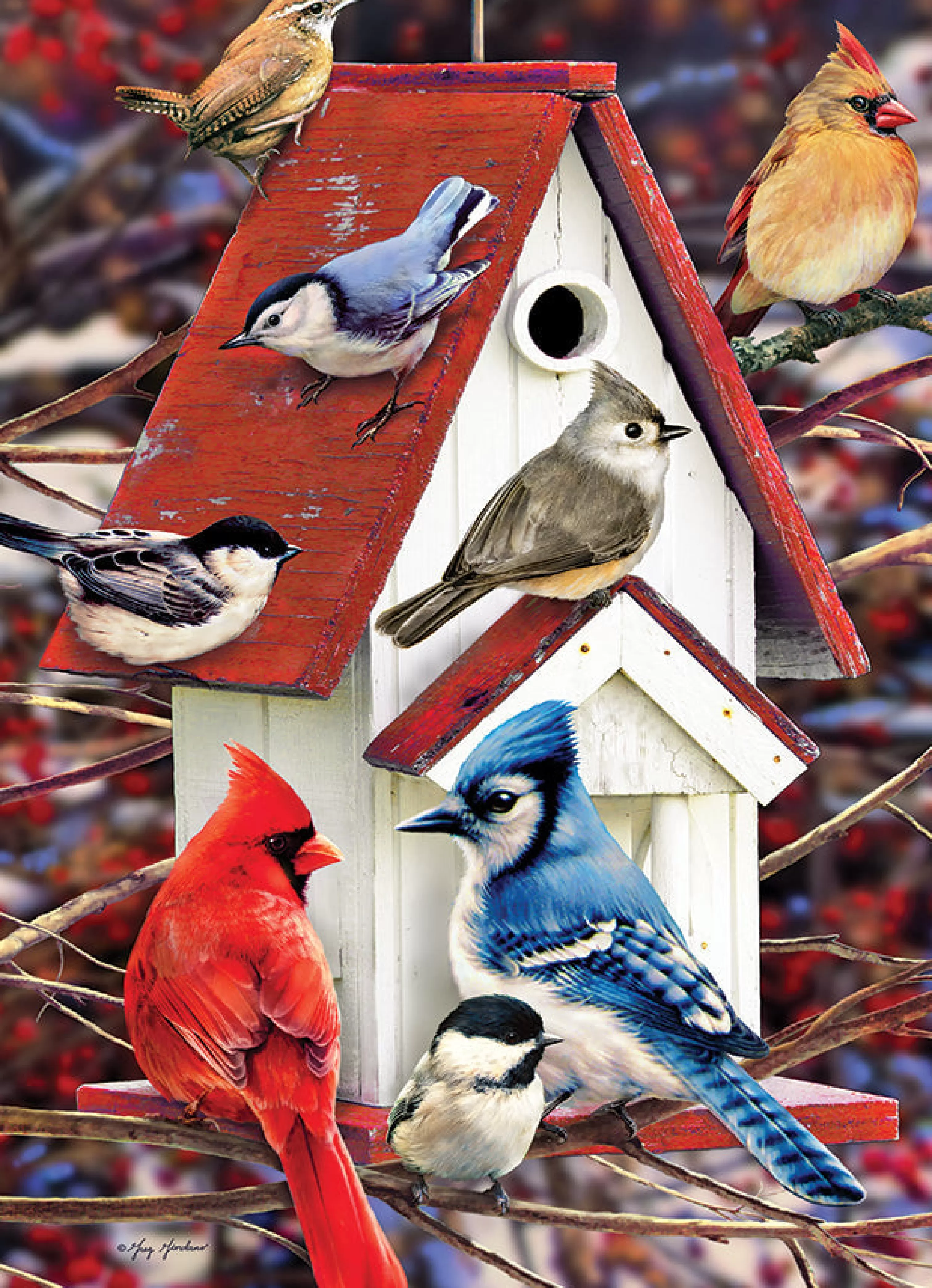 Birds^Cobble Hill Puzzles Winter Birdhouse | 500 Piece