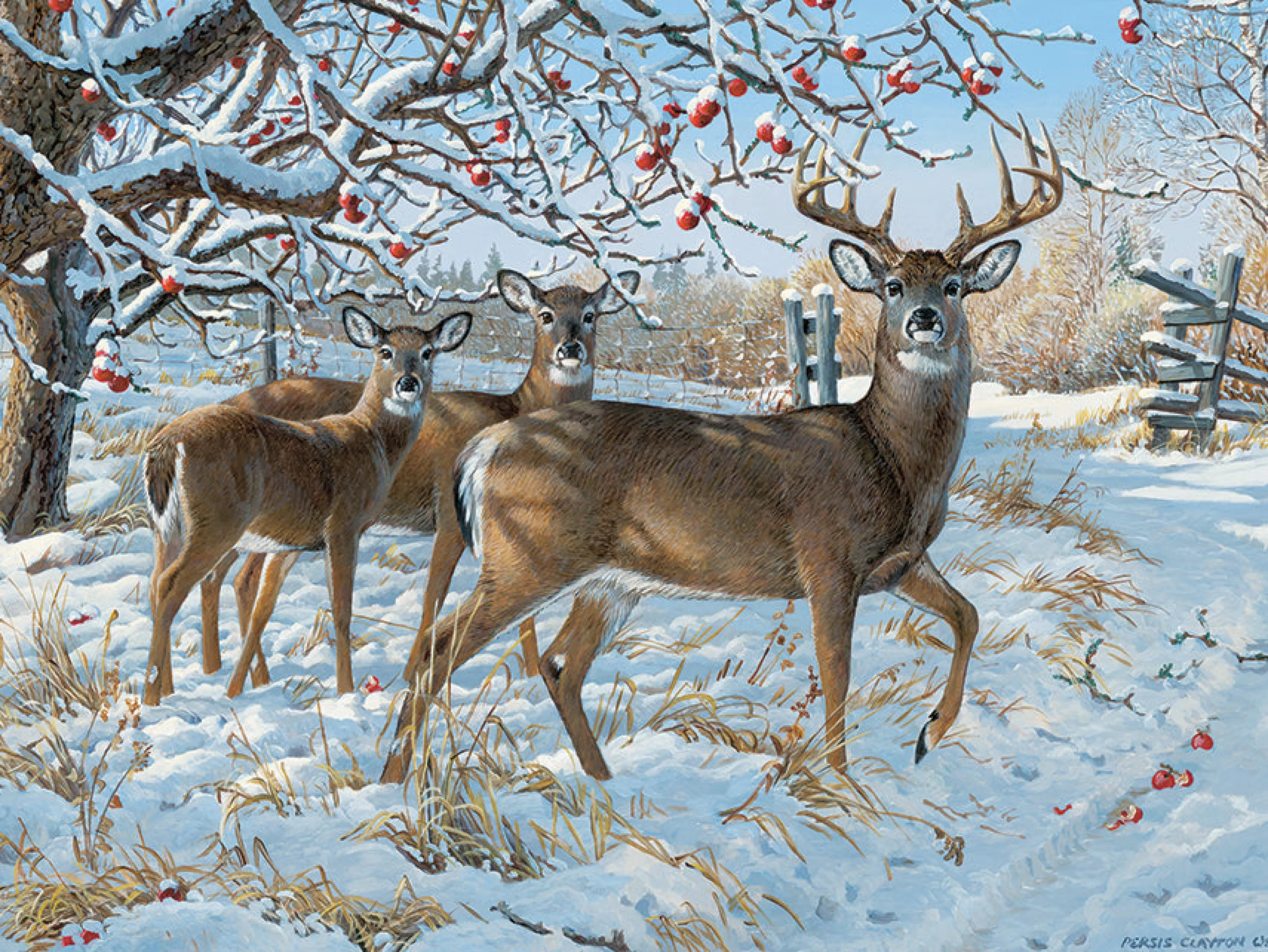 Wildlife^Cobble Hill Puzzles Winter Deer | 500 Piece