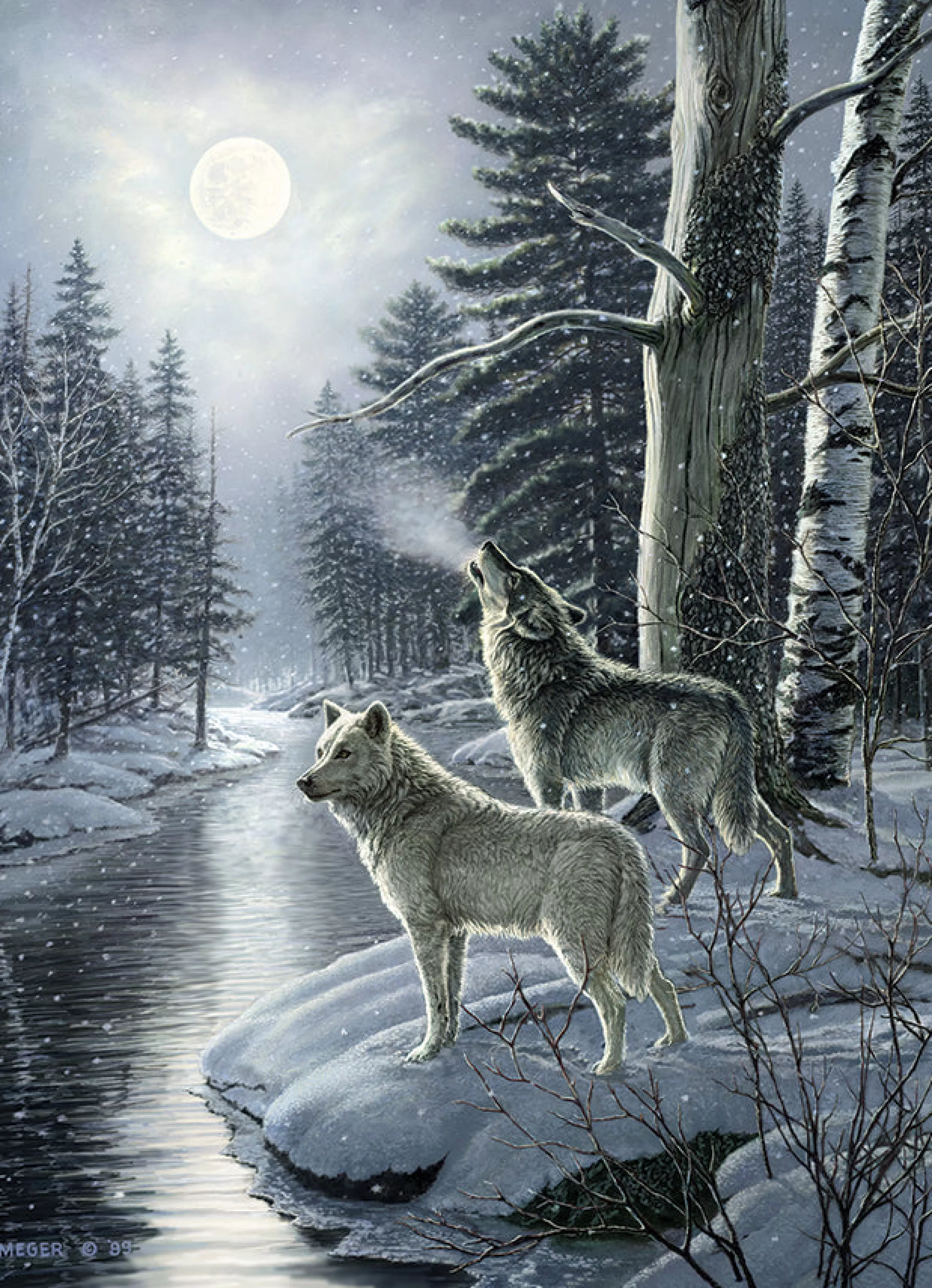 Waterscape^Cobble Hill Puzzles Wolves By Moonlight | 1000 Piece